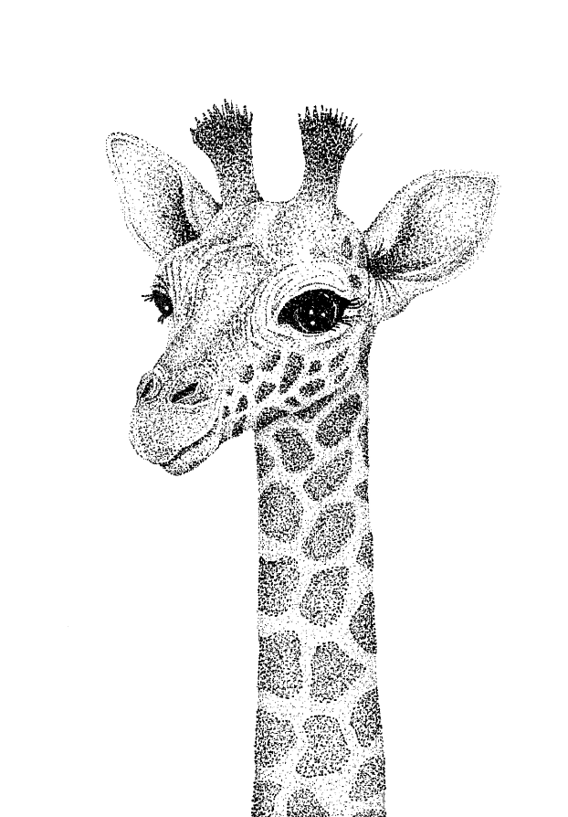A5 Giraffe.png
