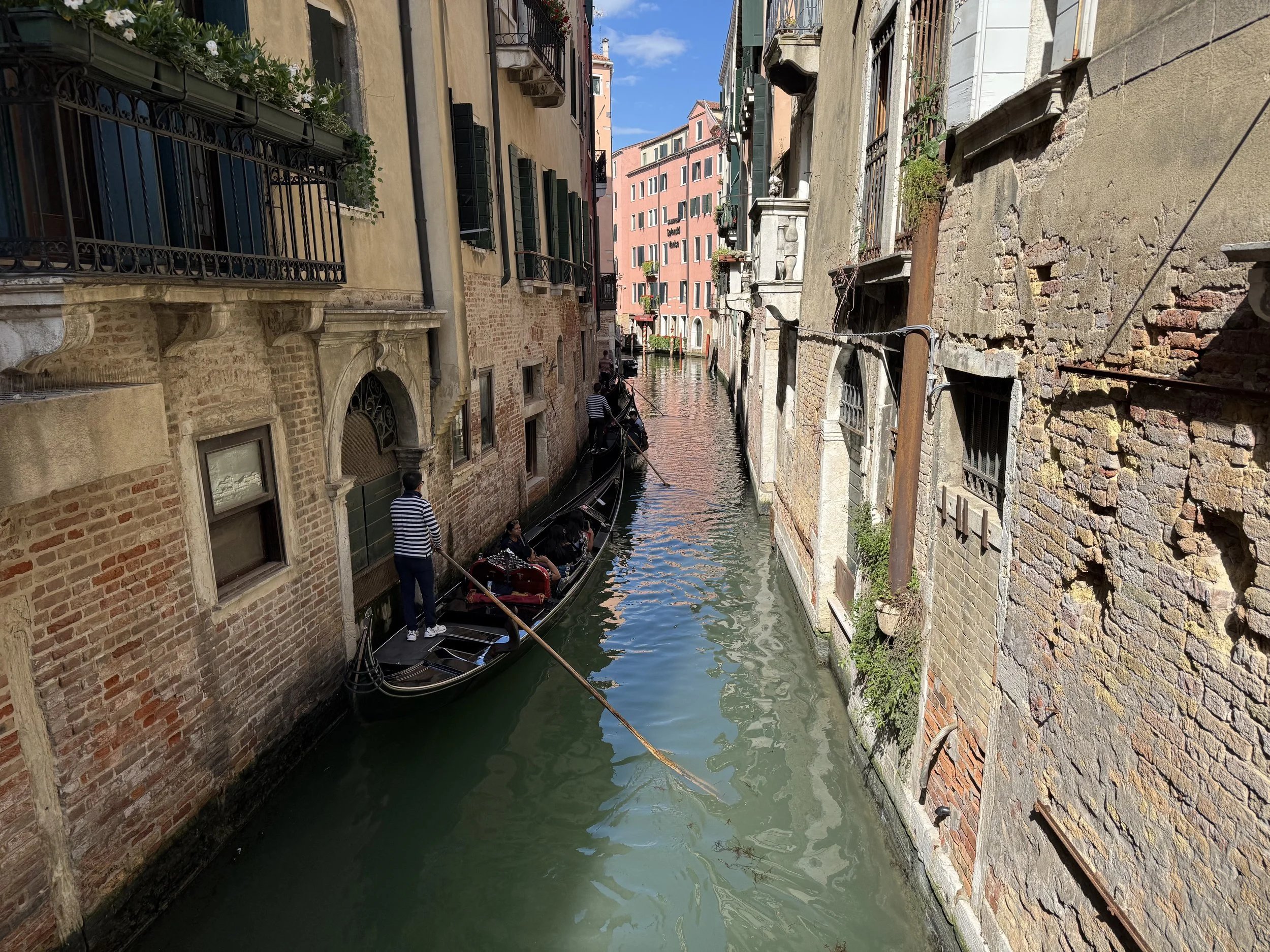IMG_5152.jpeg