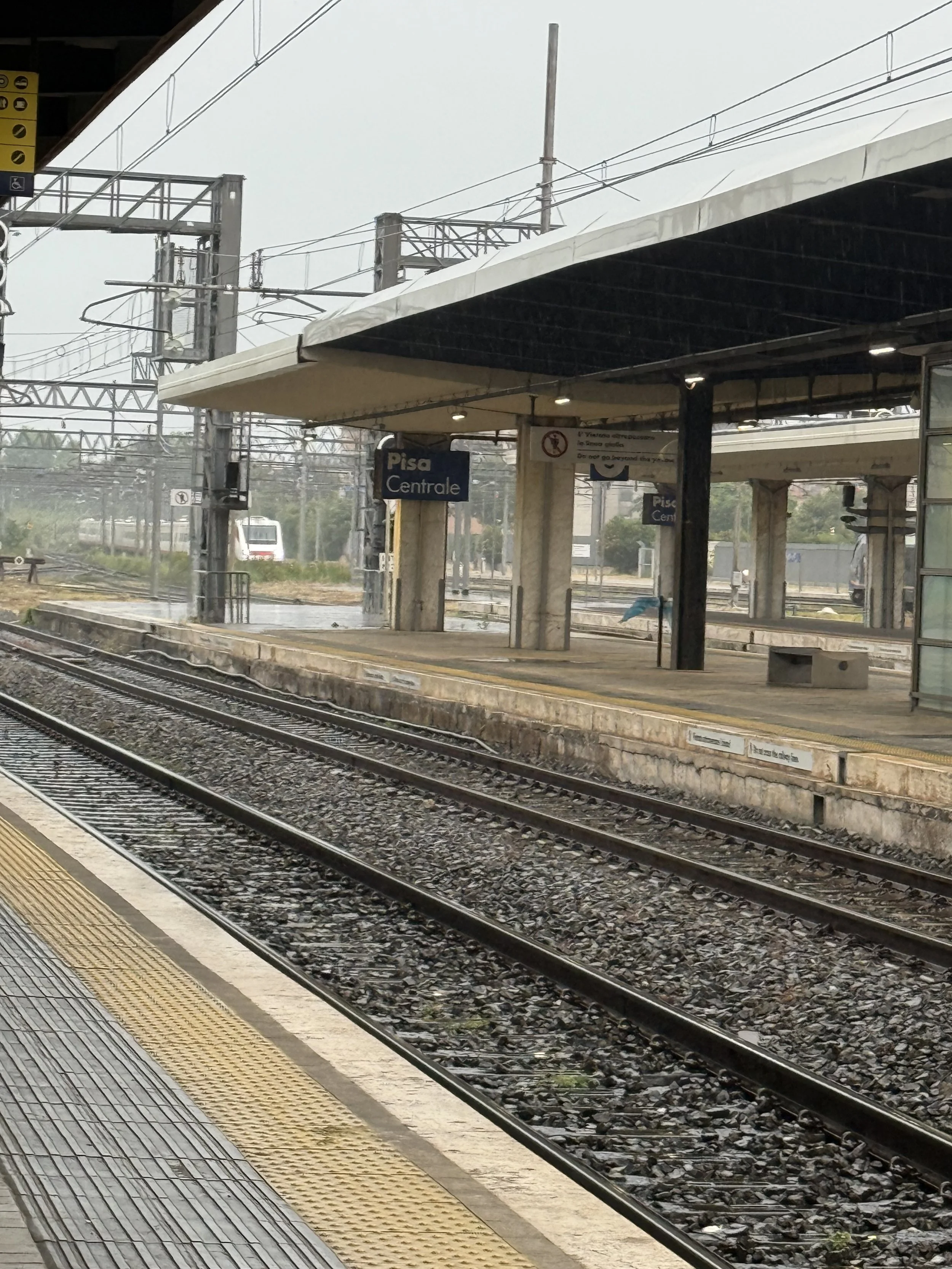 IMG_3648.jpeg