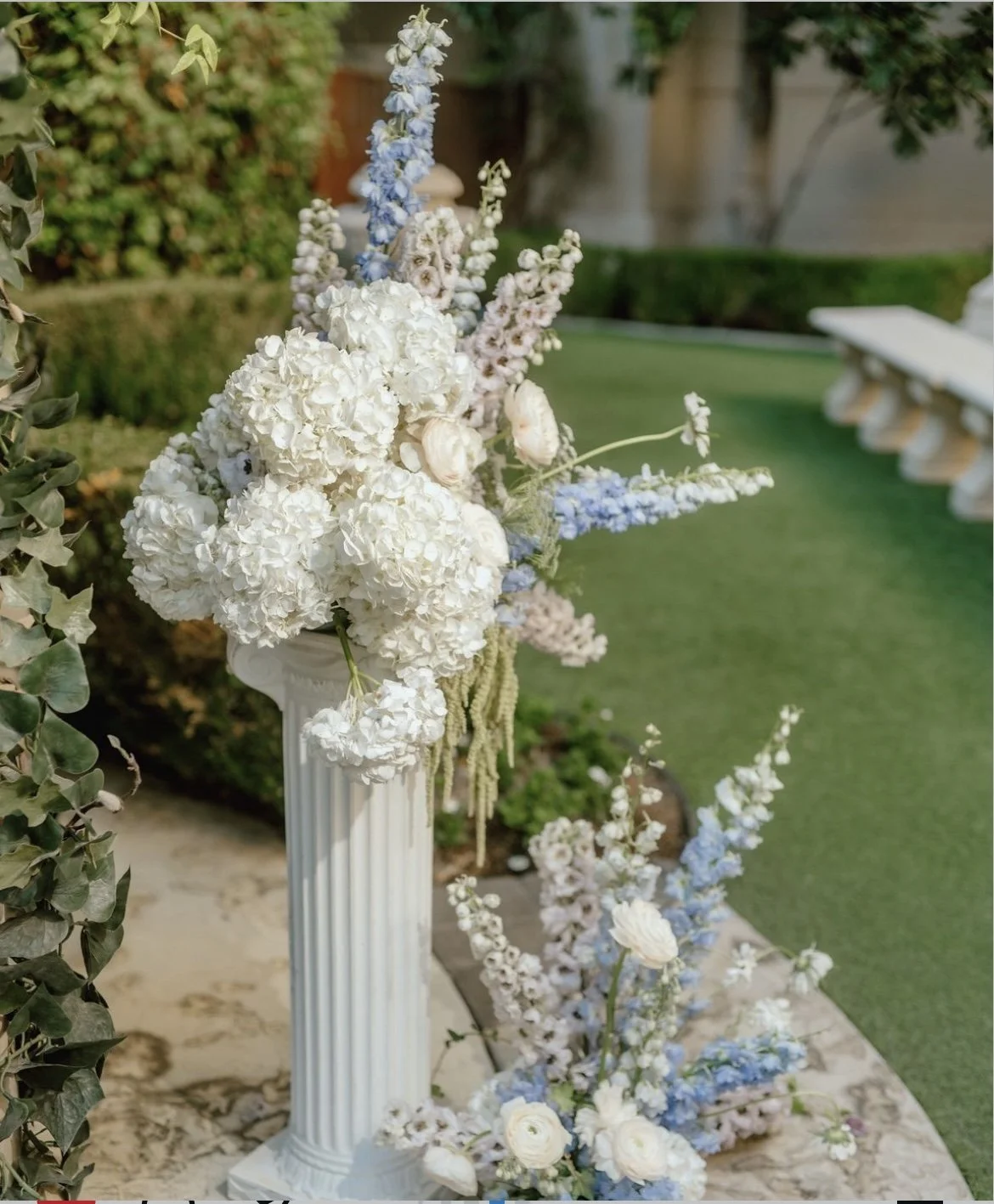 📷 @noisy_cabbage, Angela Zhou preferred vendor