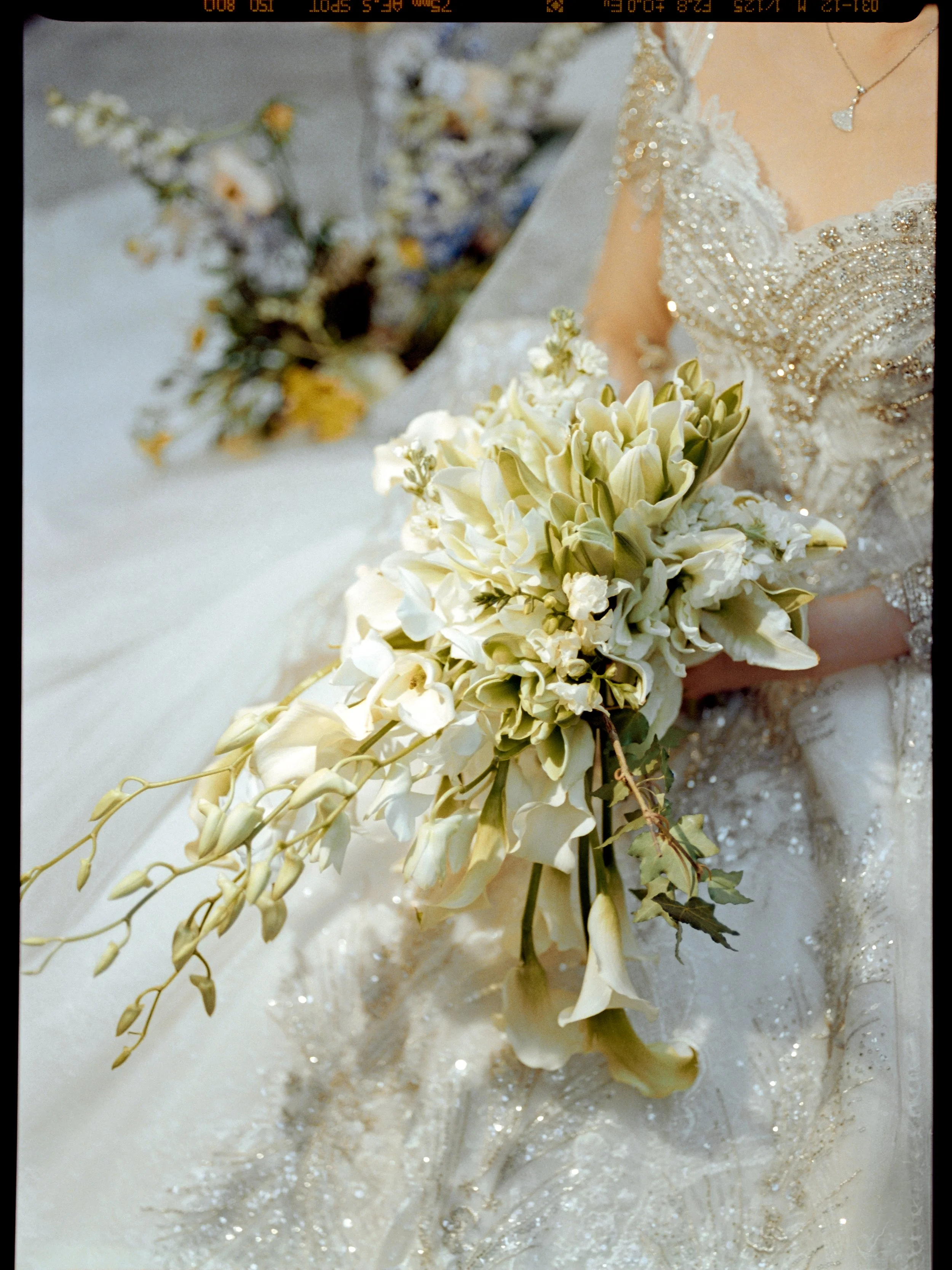 📷 @noisy_cabbage, Angela Zhou preferred vendor