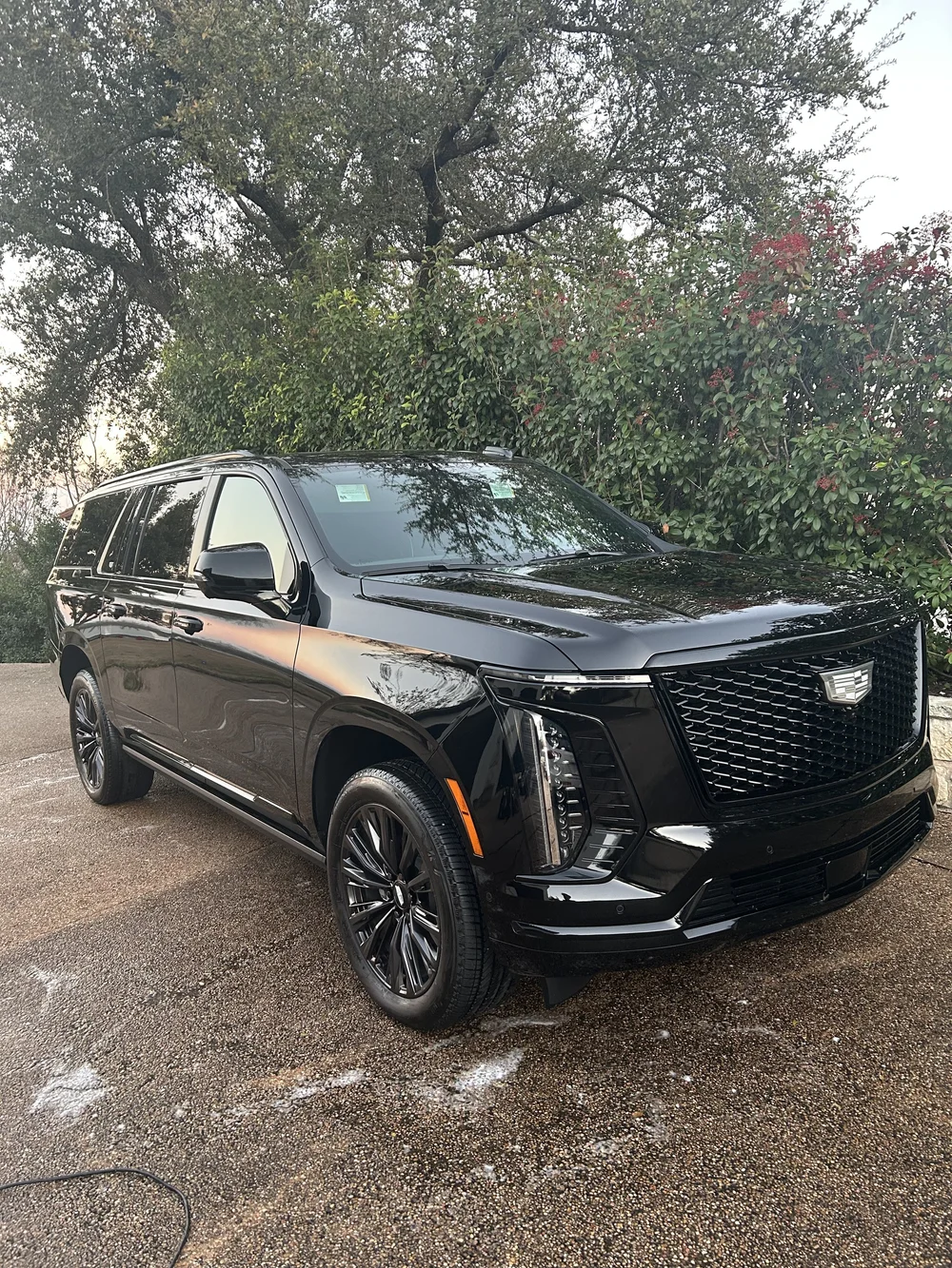 Auto Brite Detailing result 51