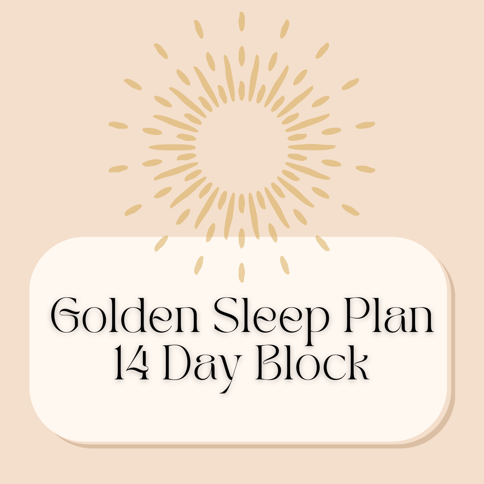 14 day plan.png