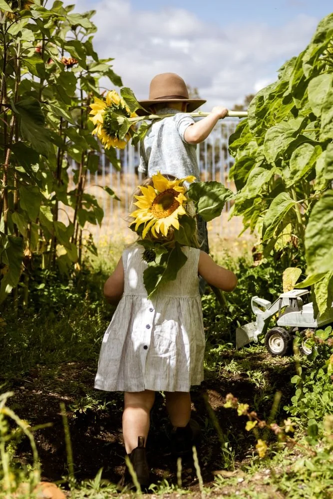 family photo of two children playing in the garden captured by launceston photographer amy lyon