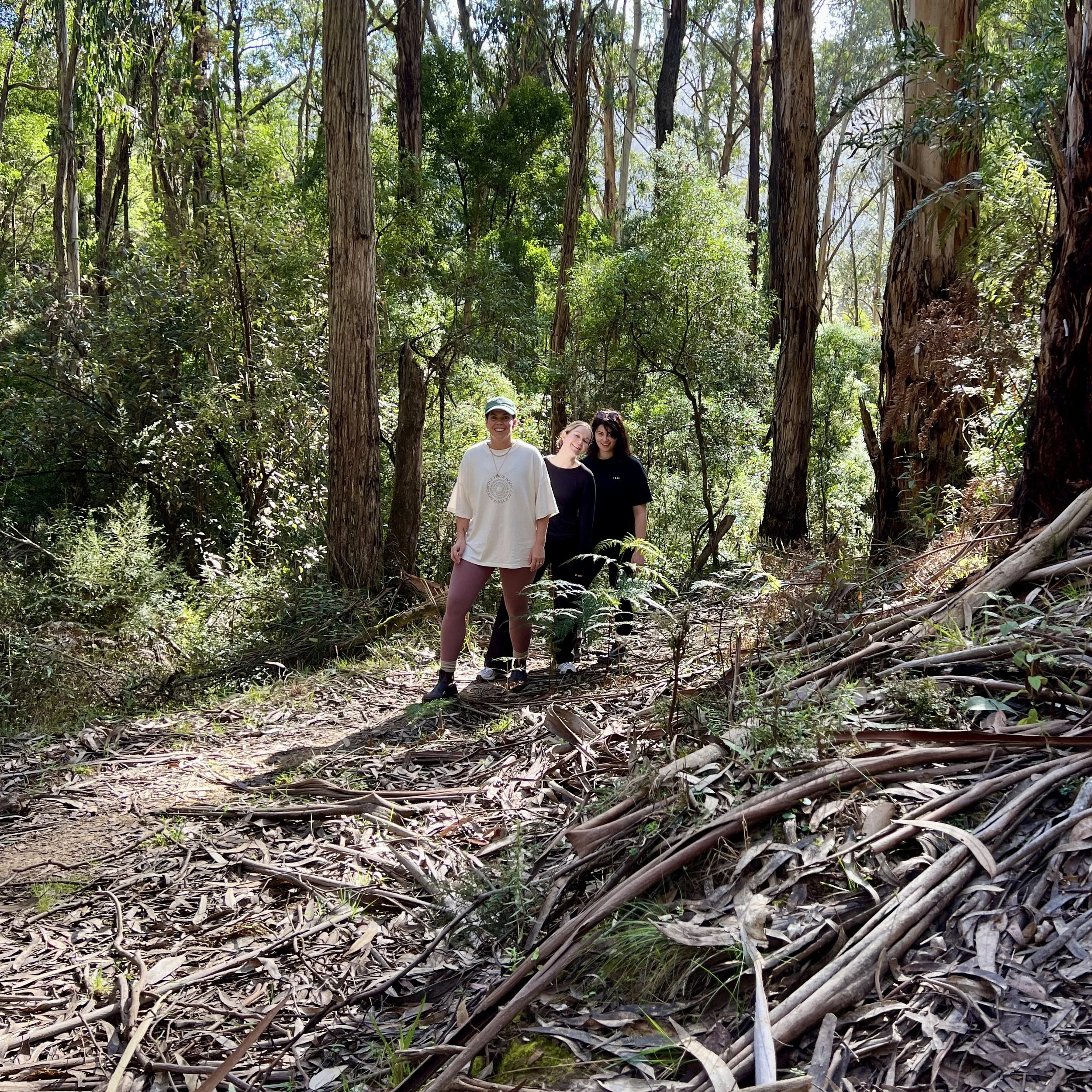Three people posing in a forest surrounded by tall trees and foliage.