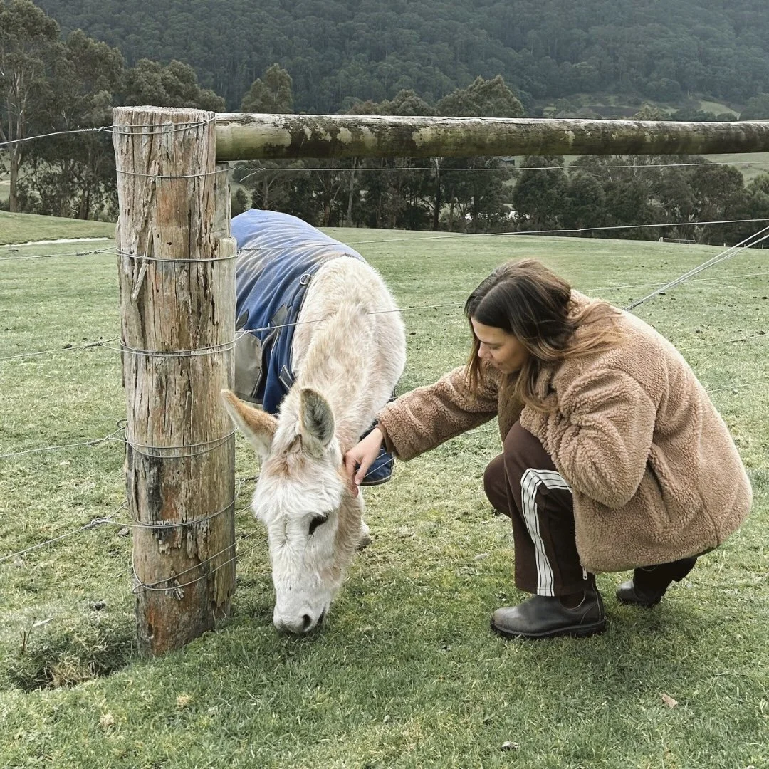 Lucy Jarvis petting a donkey near a fence in a grassy field with trees in the background at King Parrot cottages wearing The Upside
