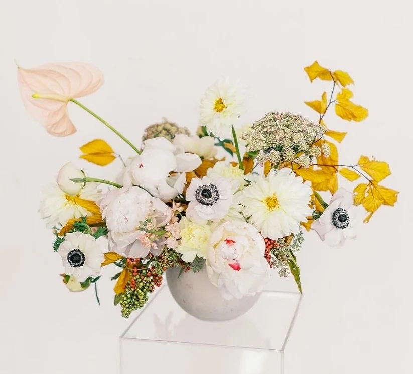 Wishing everyone a warm and joyful Thanksgiving! I am grateful for your continued support and the opportunity to help make your spaces bloom with beauty. May your day be filled with love, laughter, and gratitude. 🧡🌸

Photographer: @heyhails