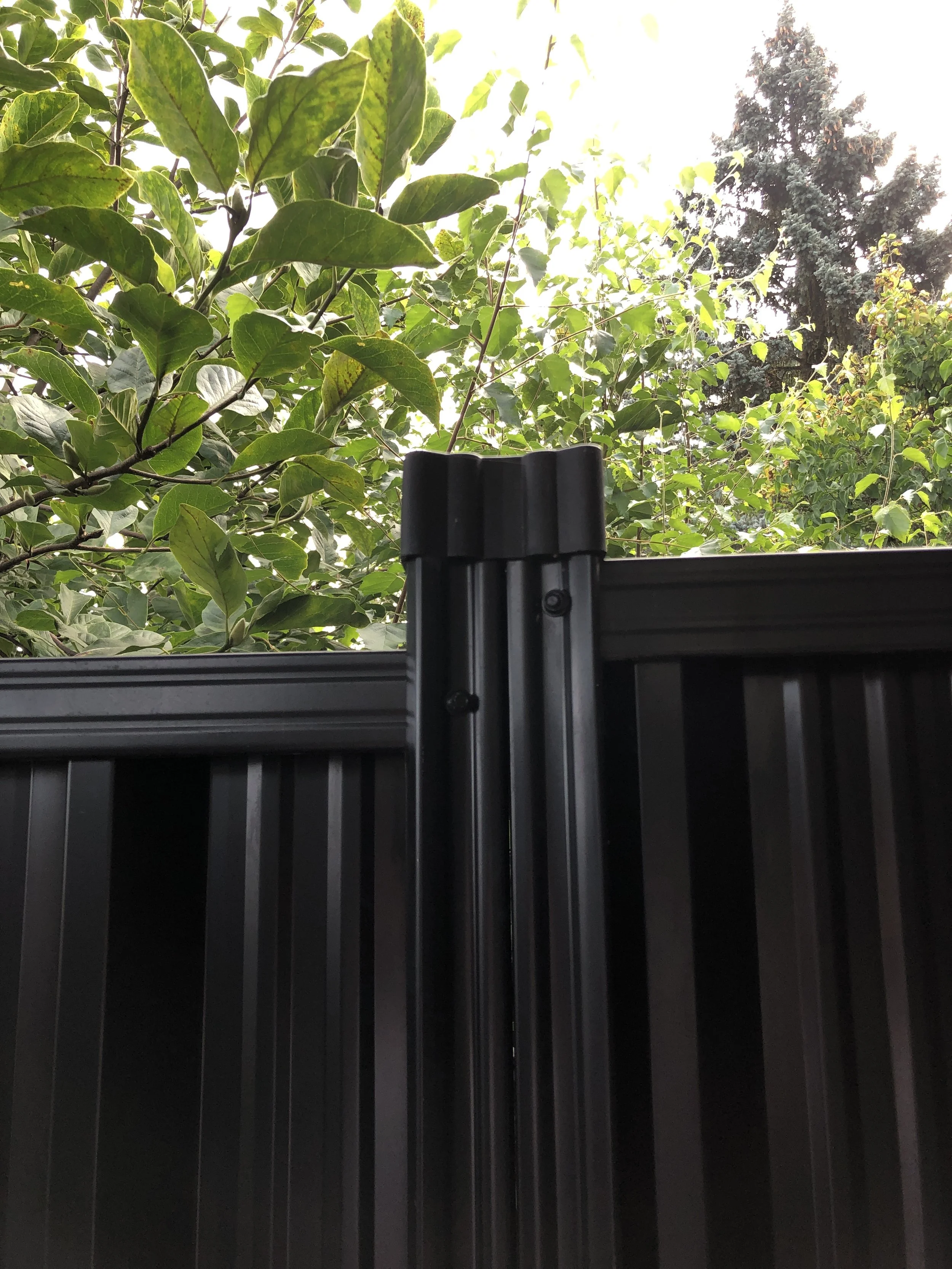 Black metal fence with green leafy trees in the background.