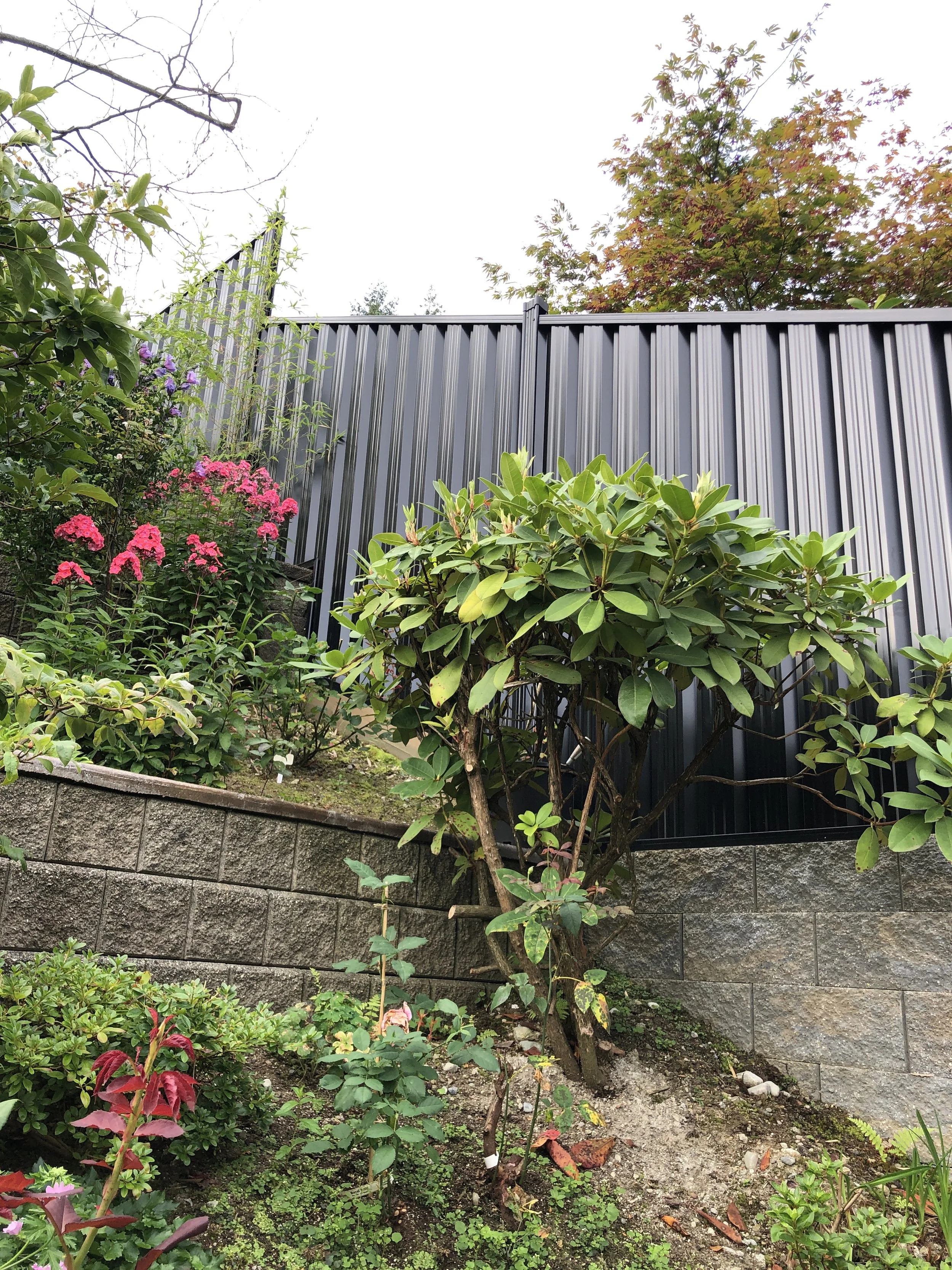 Lush garden with flowering plants and shrubs in front of a tall, dark metal fence, featuring pink and purple flowers, green foliage, and a stone retaining wall.