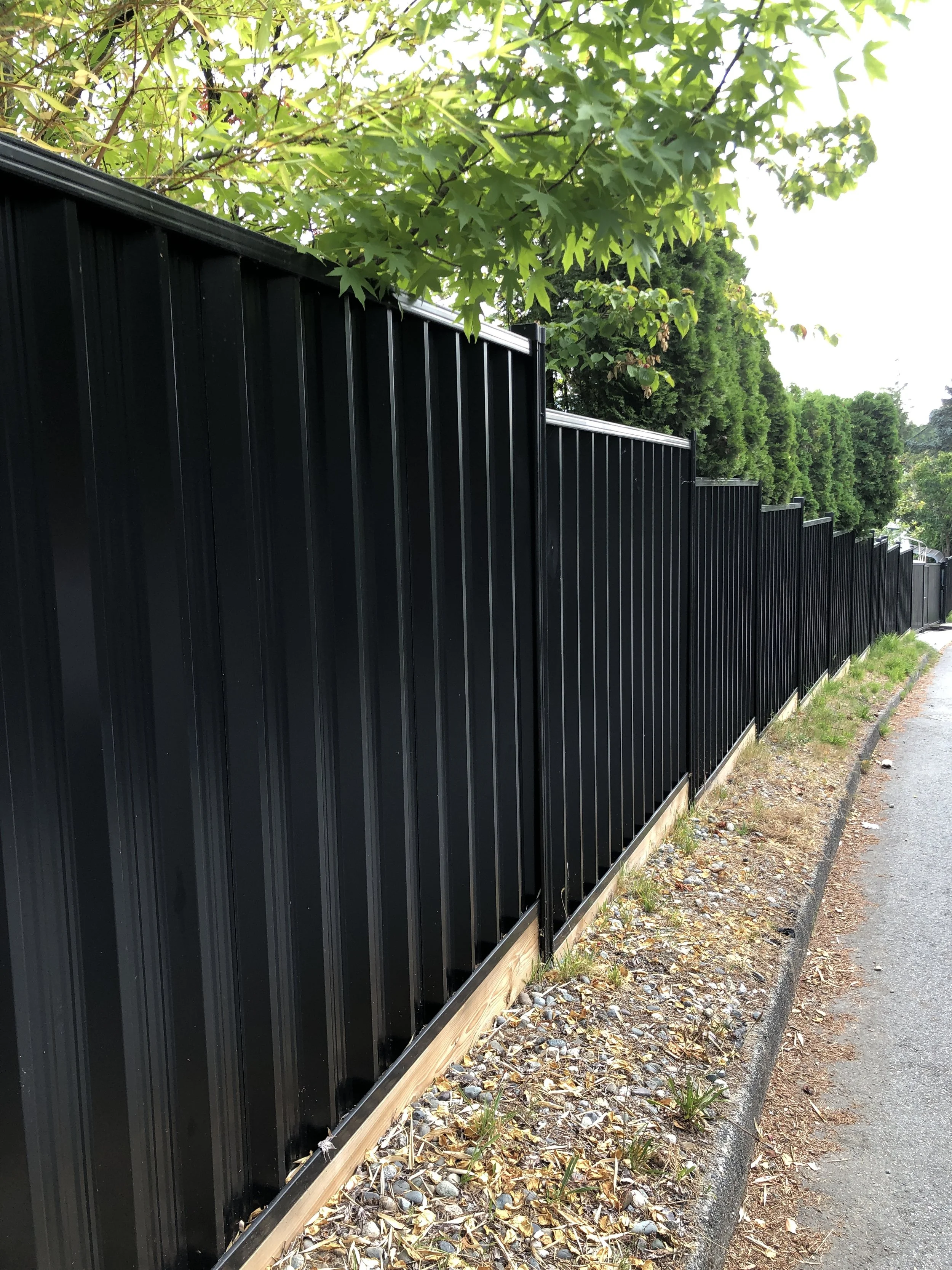 Black metal fence along a road with green trees above.
