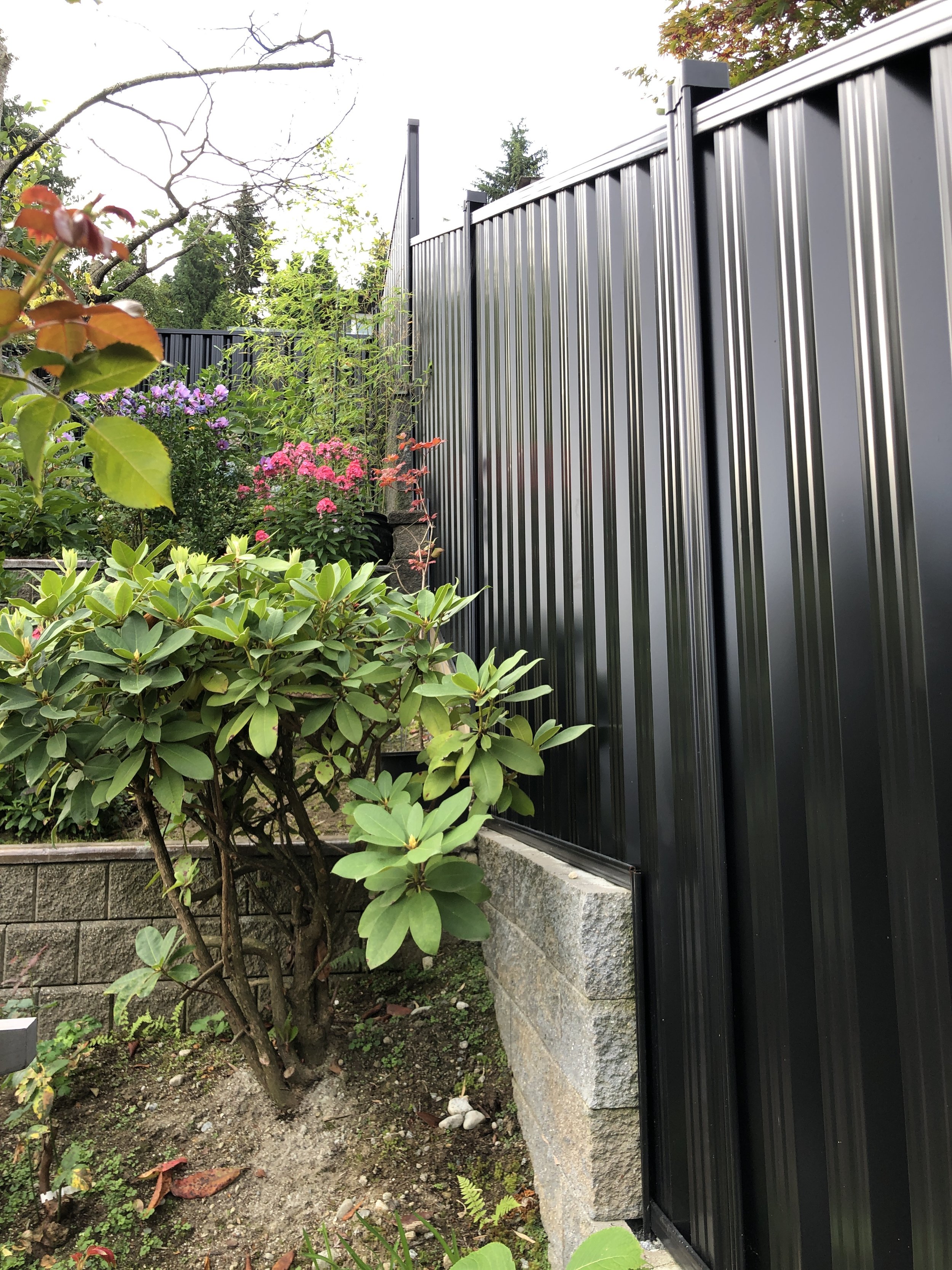 Black metal fence next to a garden with various plants and flowers.