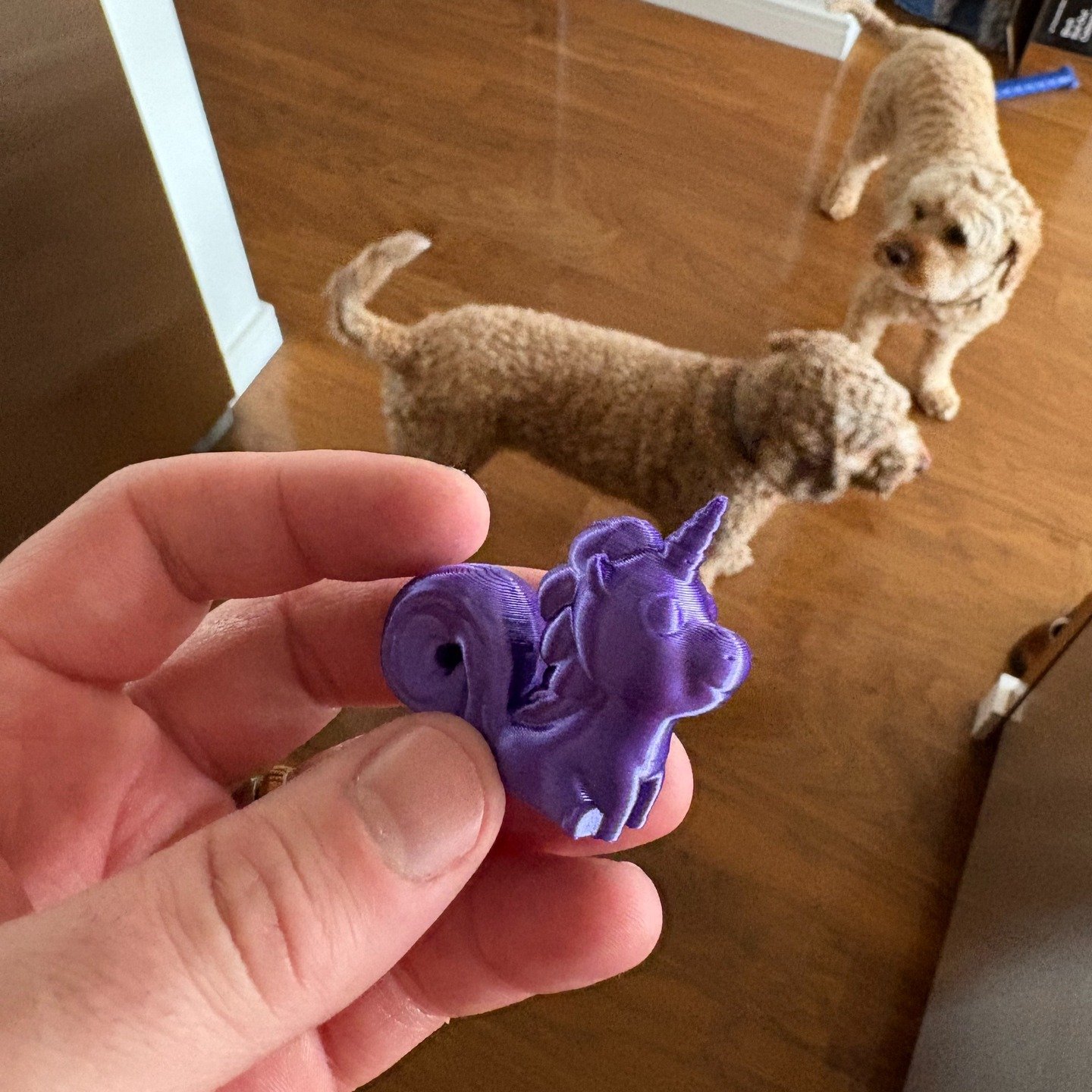 Great find! Cute pups!