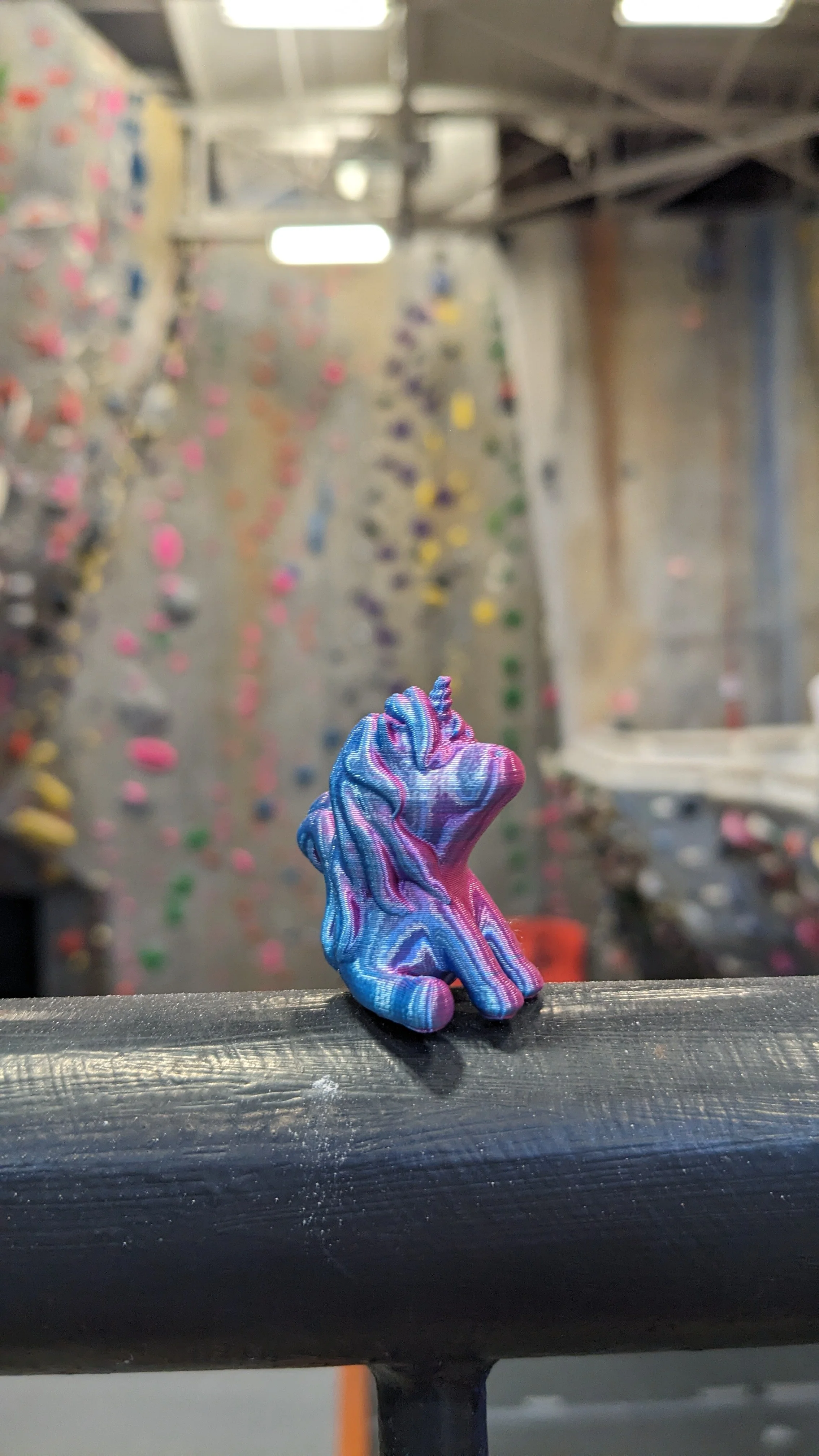 20240903 PXL_20240903_225339428.jpg