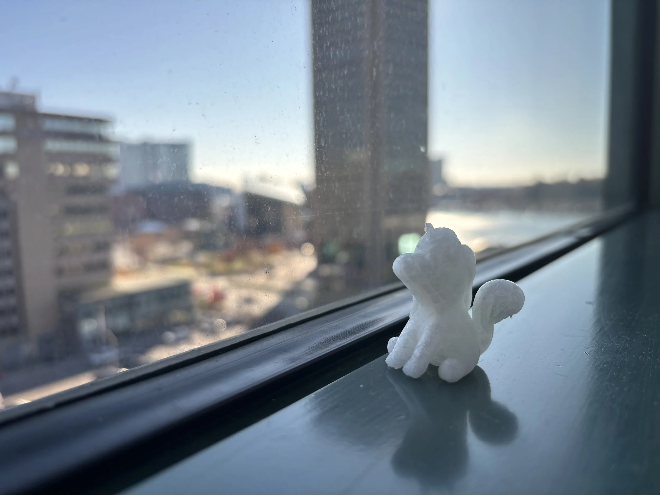 20241202 IMG_6982.jpeg