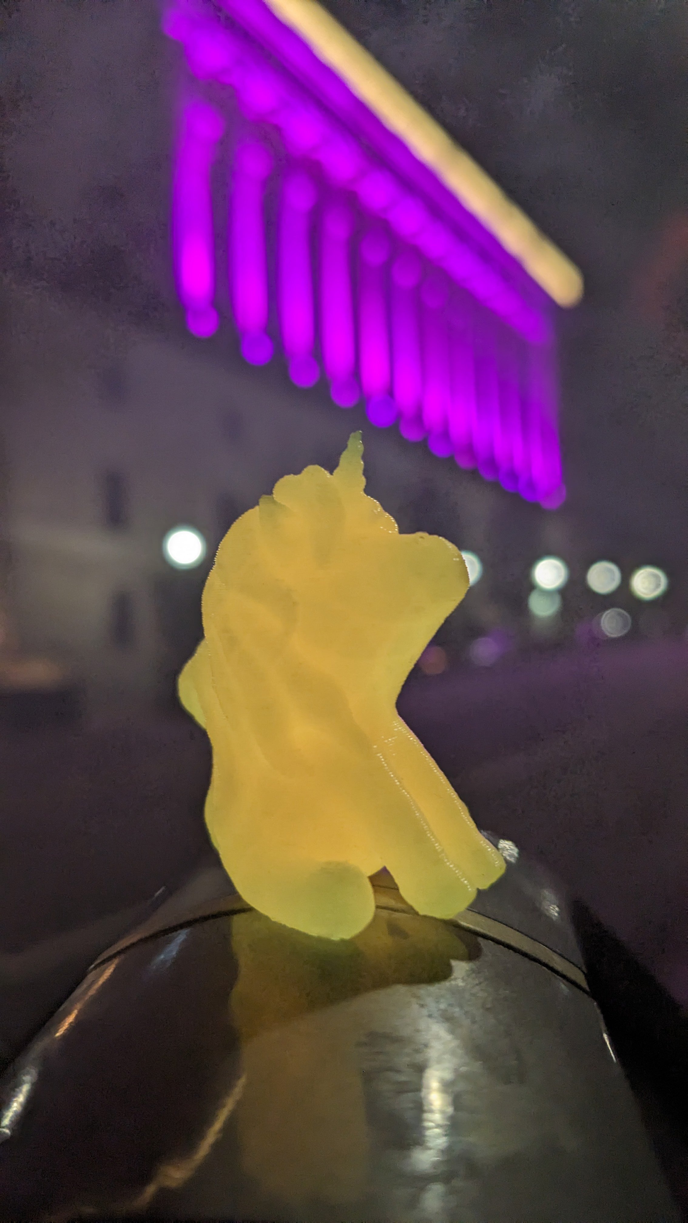 20241010 PXL_20241007_021514184.MP.jpg