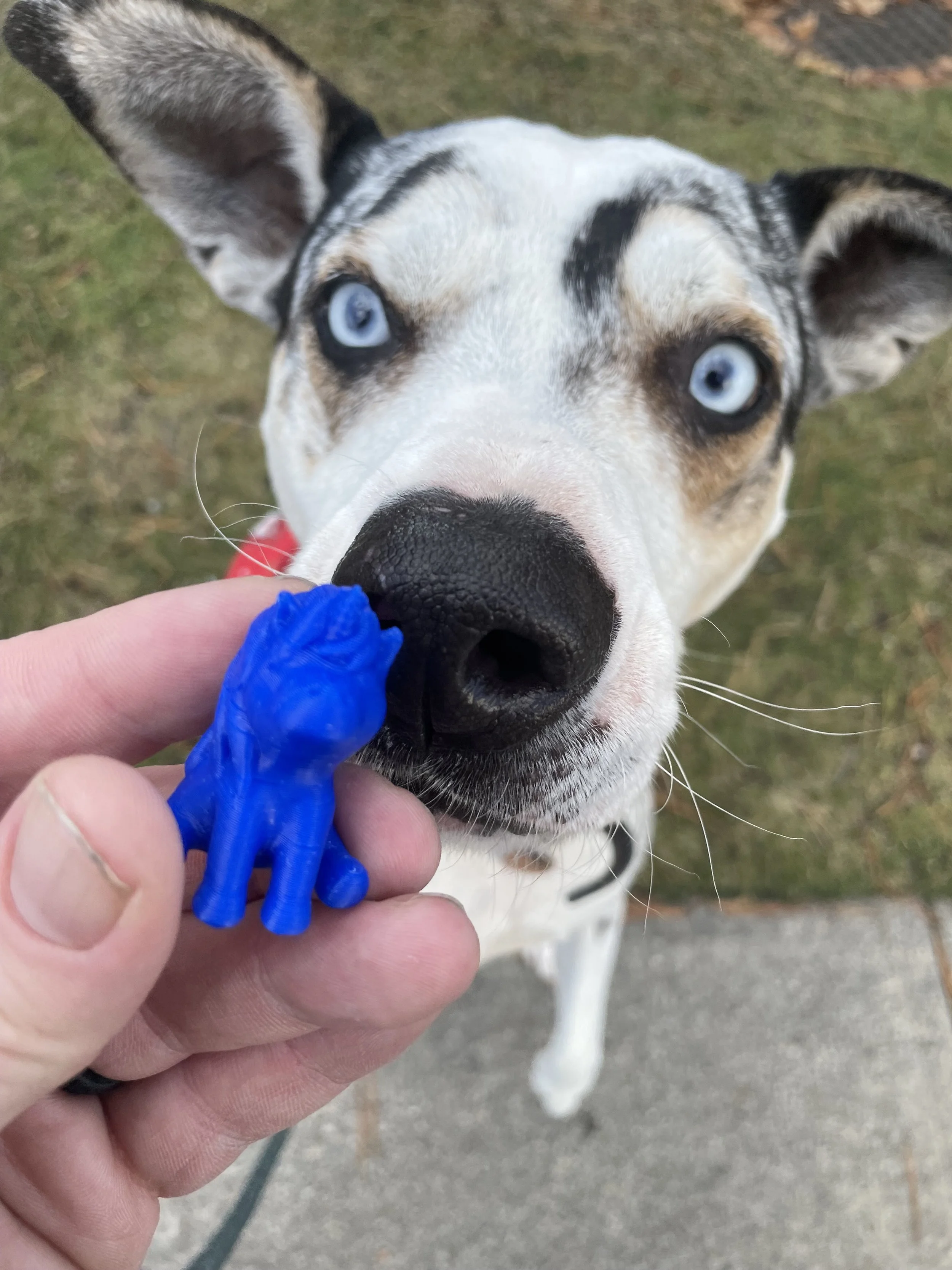 20241212 IMG_2960.jpeg