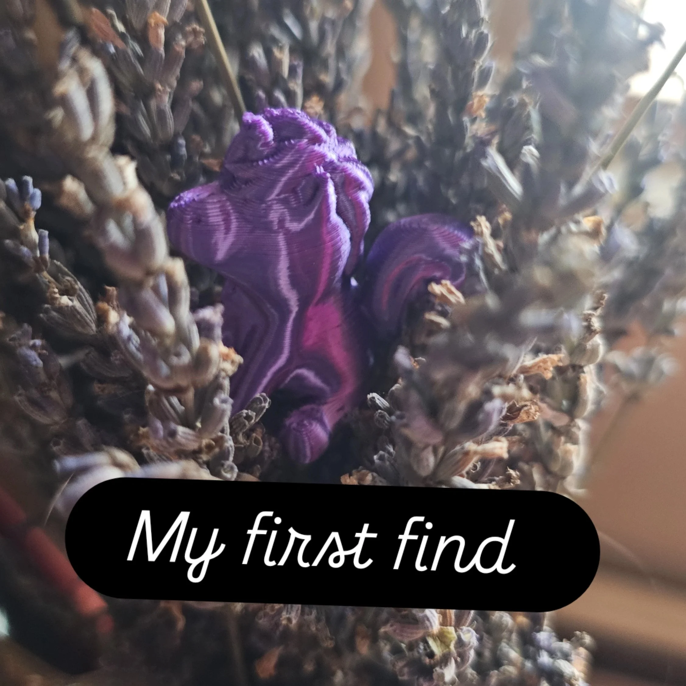 20250423 inbound5219793448779321743.jpg