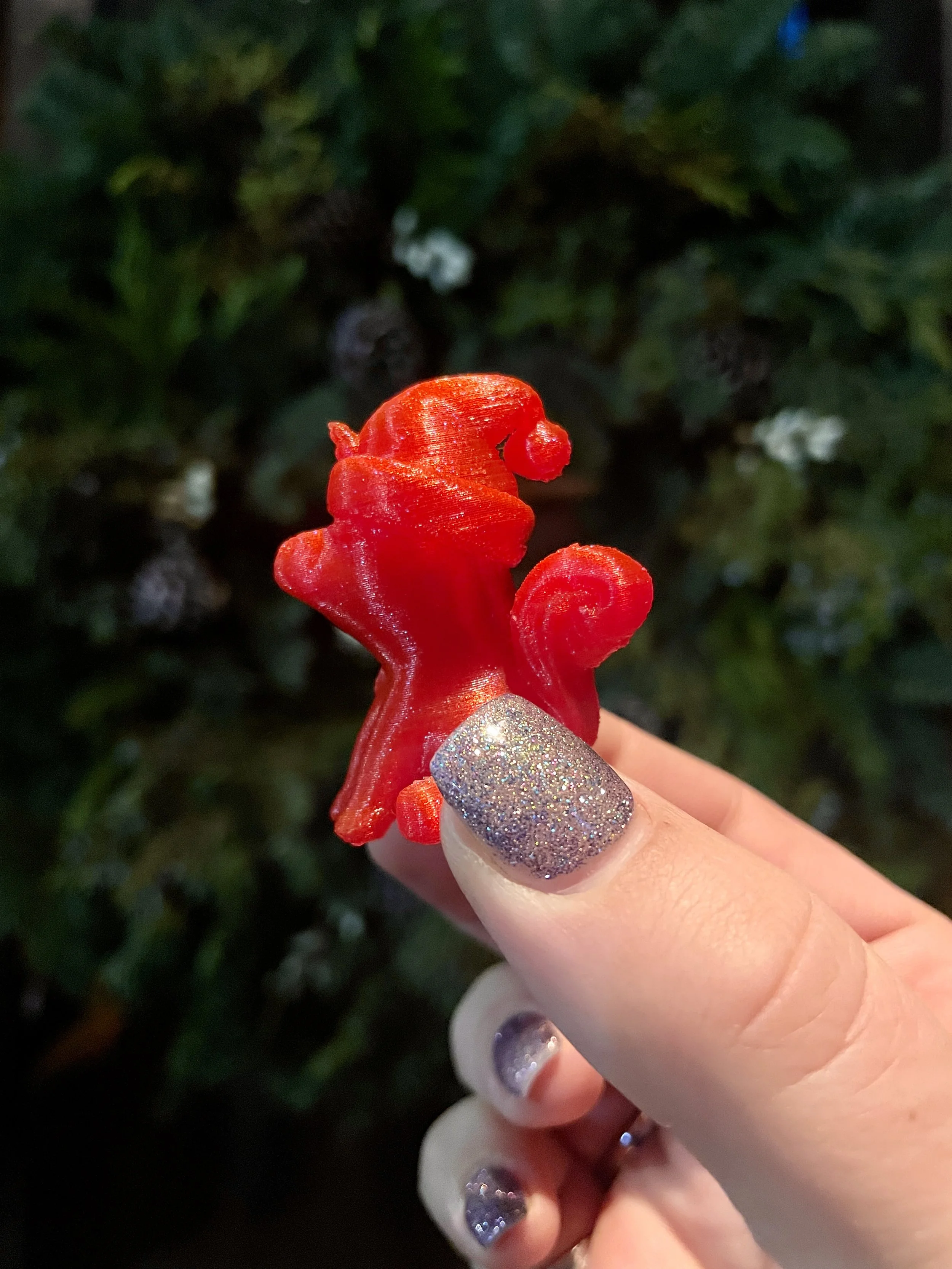 20241216 IMG_8443.jpeg