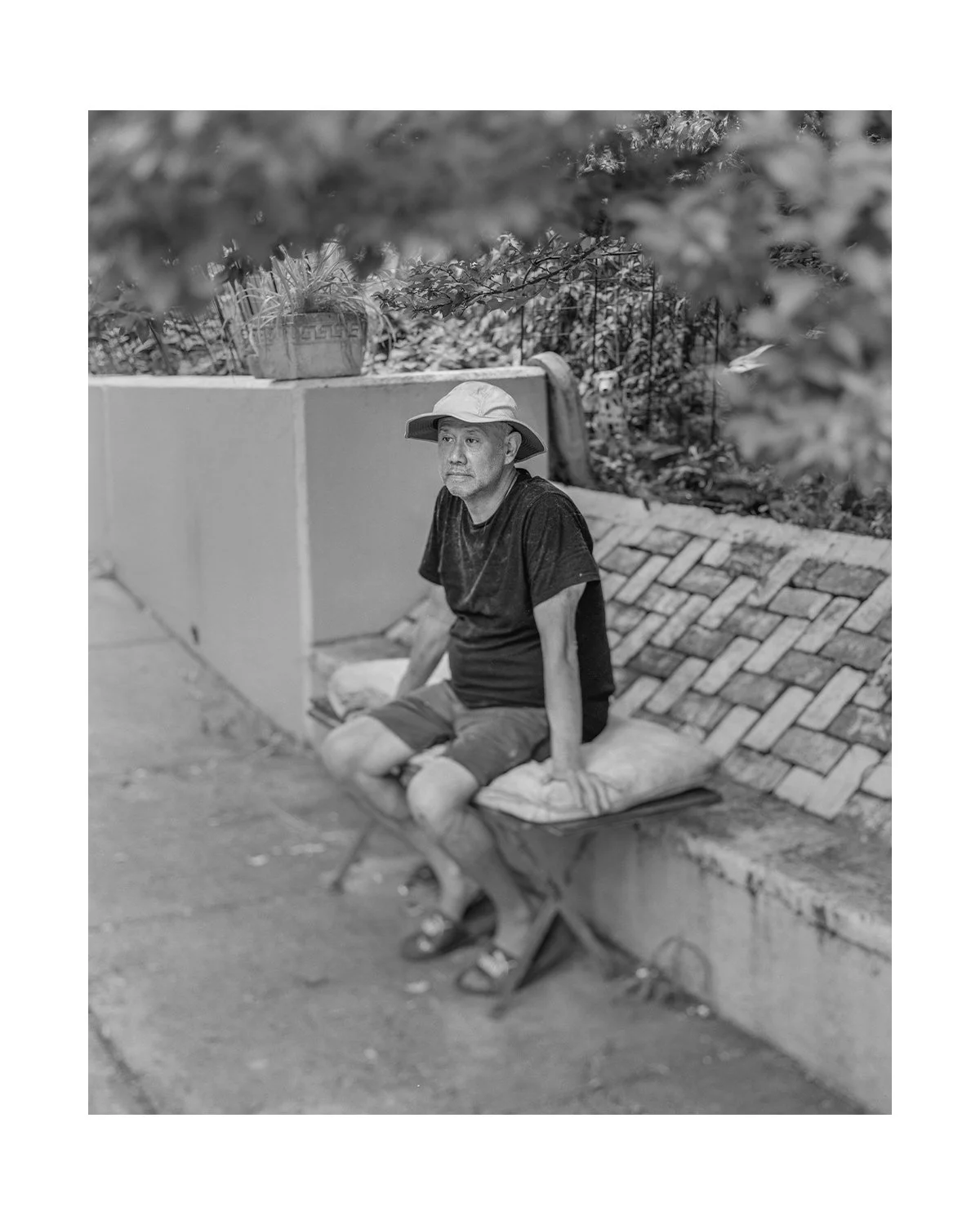 A Man in Cat Park.jpg