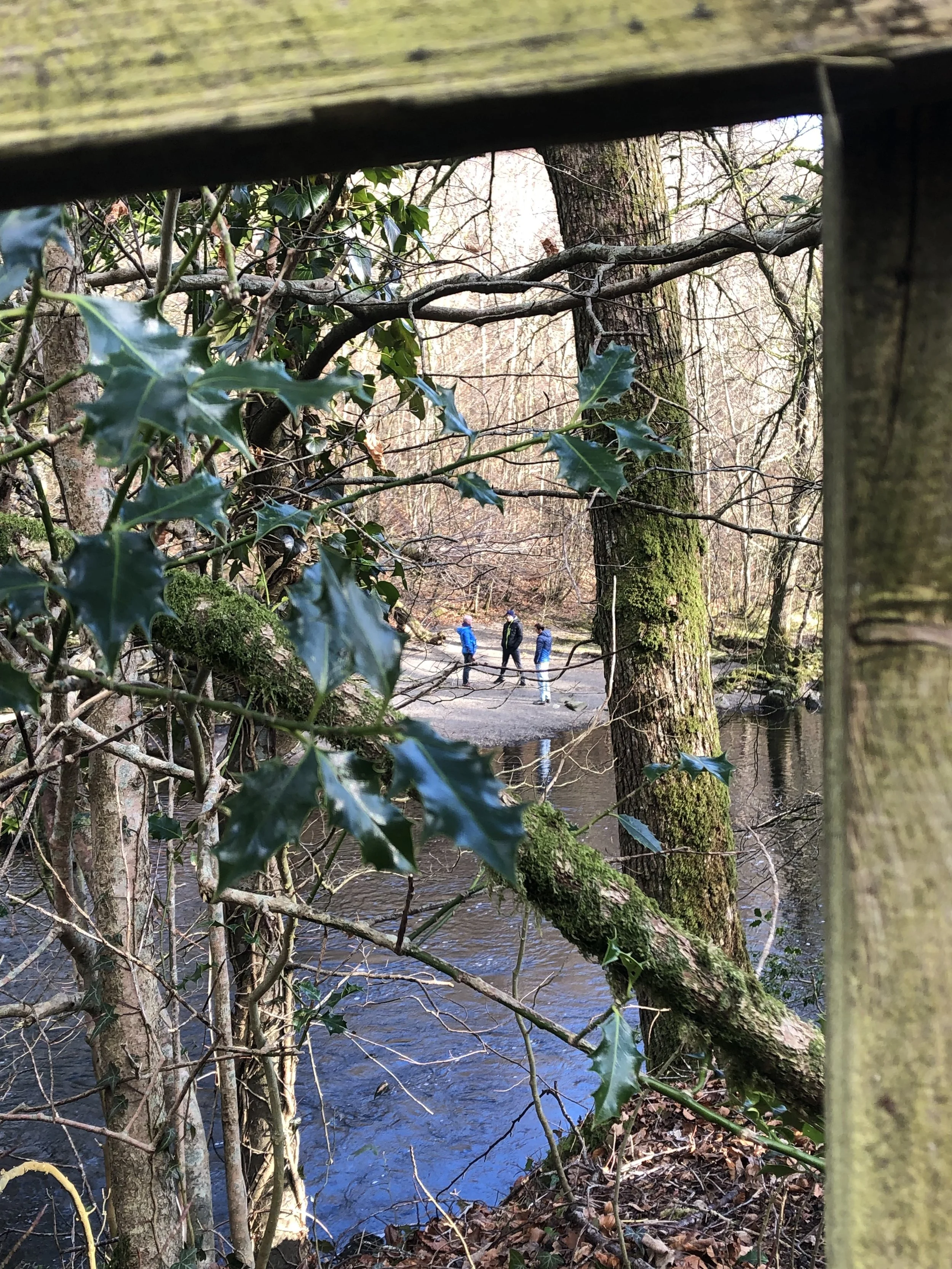 Nature-inspired Leadership