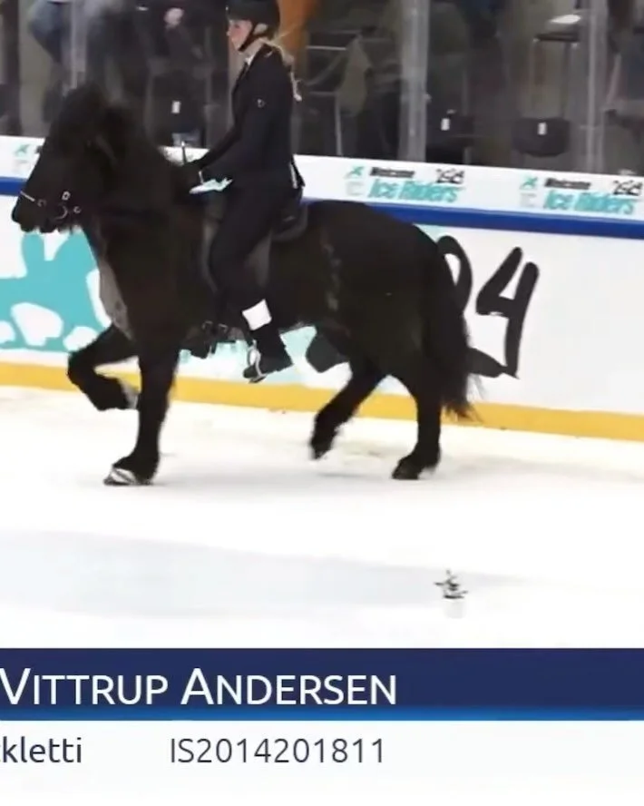 🌟 Viska doing her thing 🌟
En tredje plads til Nordic Ice Games i 5.1 med 7.17 i snit og 7,67 i snit for pas. Vi havde en fest p&aring; isen, og jeg er s&aring; stolt af Viska og is&aelig;r hendes pr&aelig;station i pas. 💪🏼 Fantastisk finale i et 