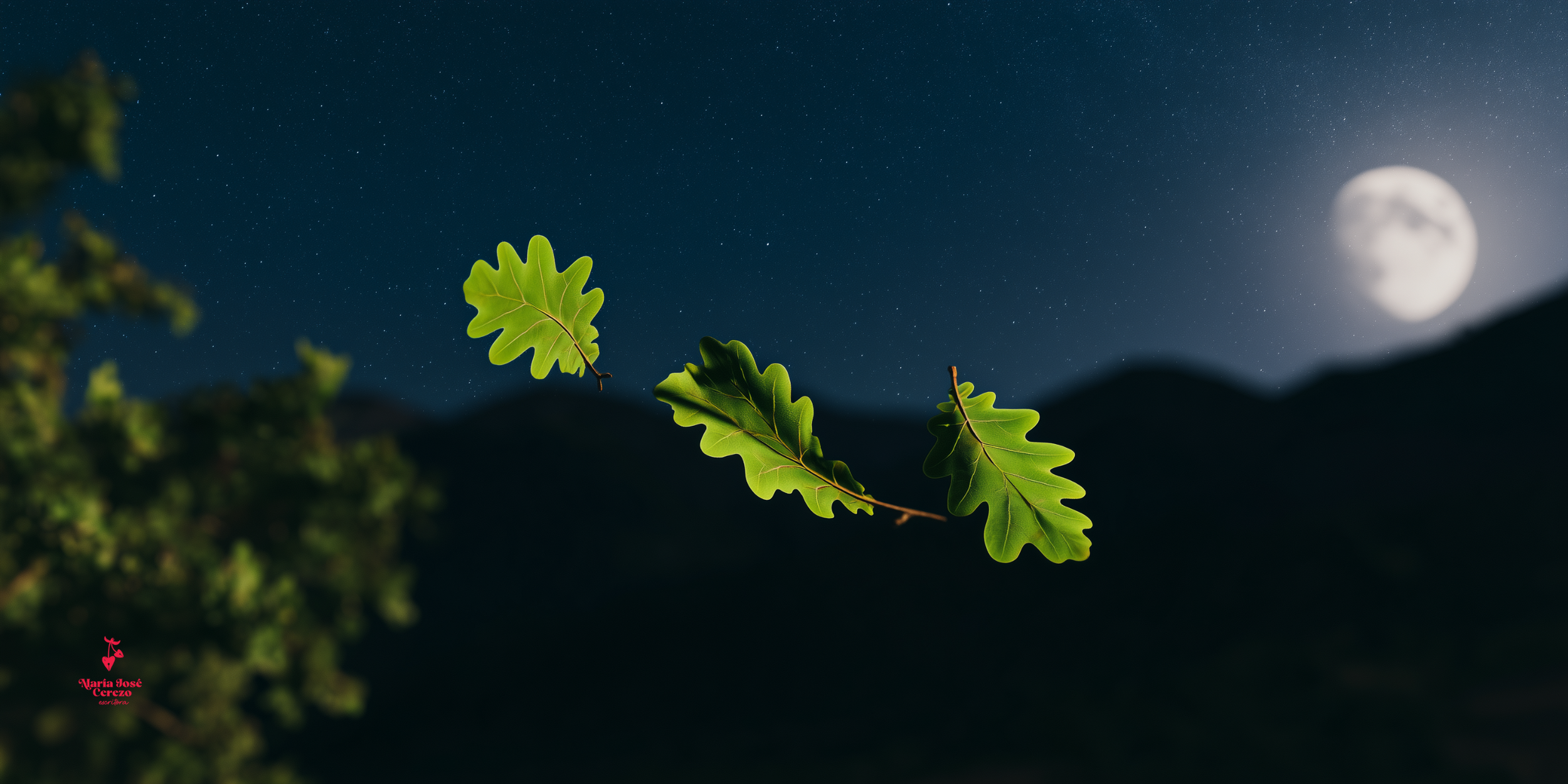 Las tres hojas que recibieron Alicia, Lucas y Matías. La noche estrellada en el Valle de Tena con la luna llena al fondo