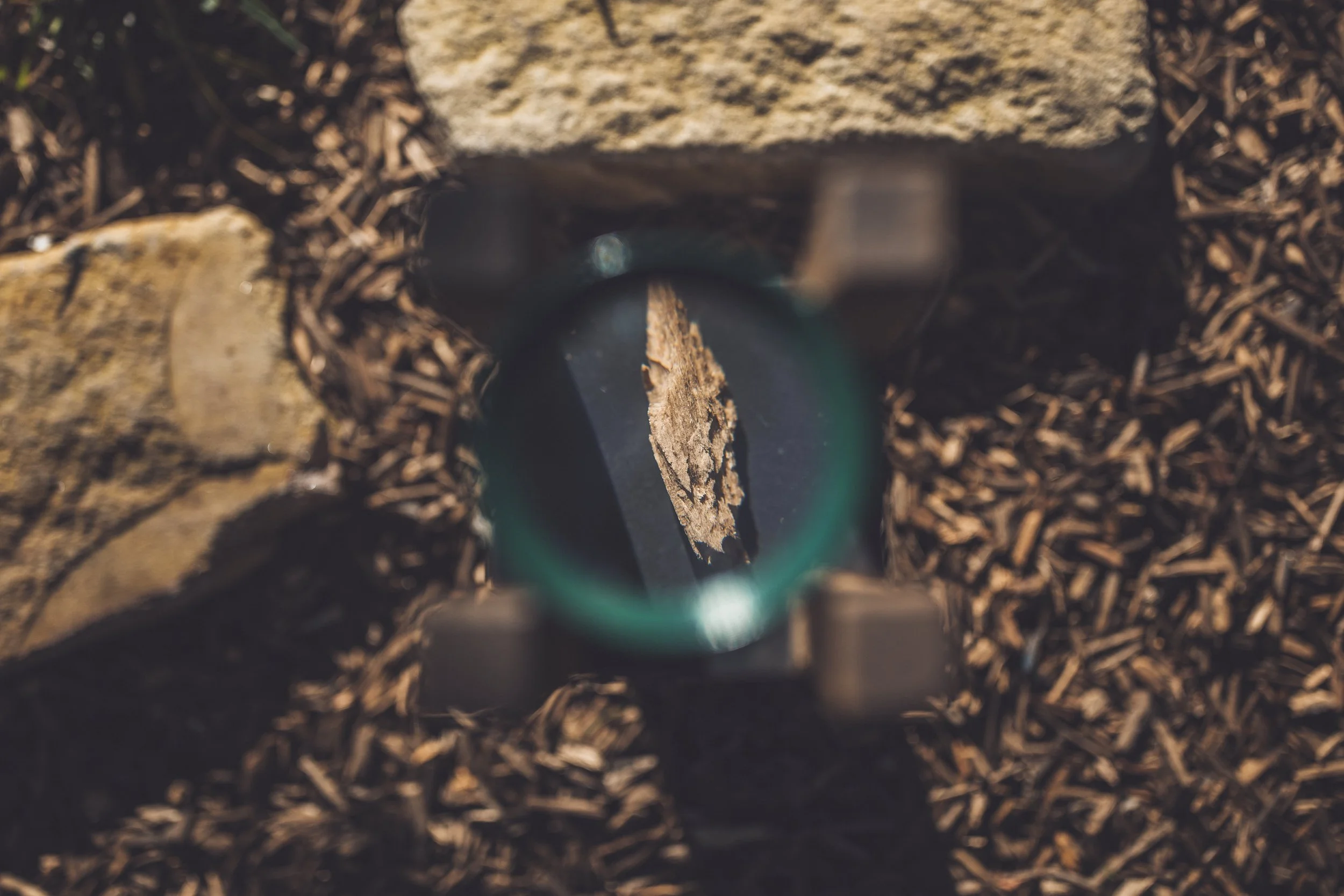 076 - SDN Liqidesign.jpg