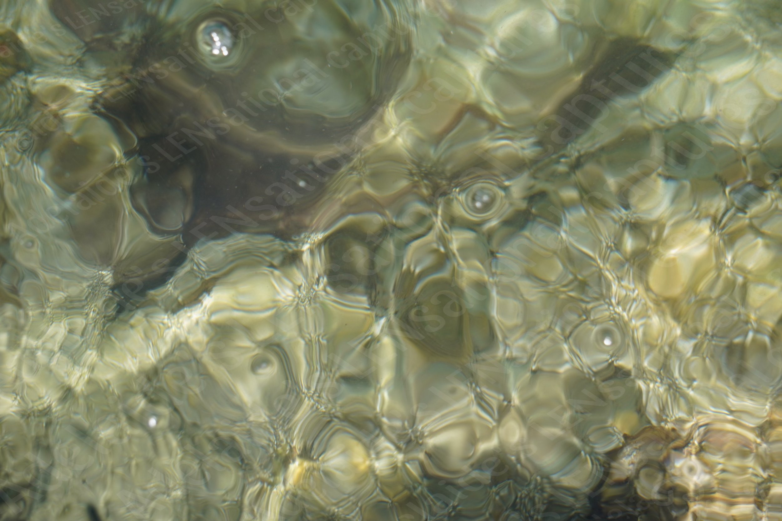 7AFA47C6-F38B-4233-8125-A91A98716A9B.jpeg