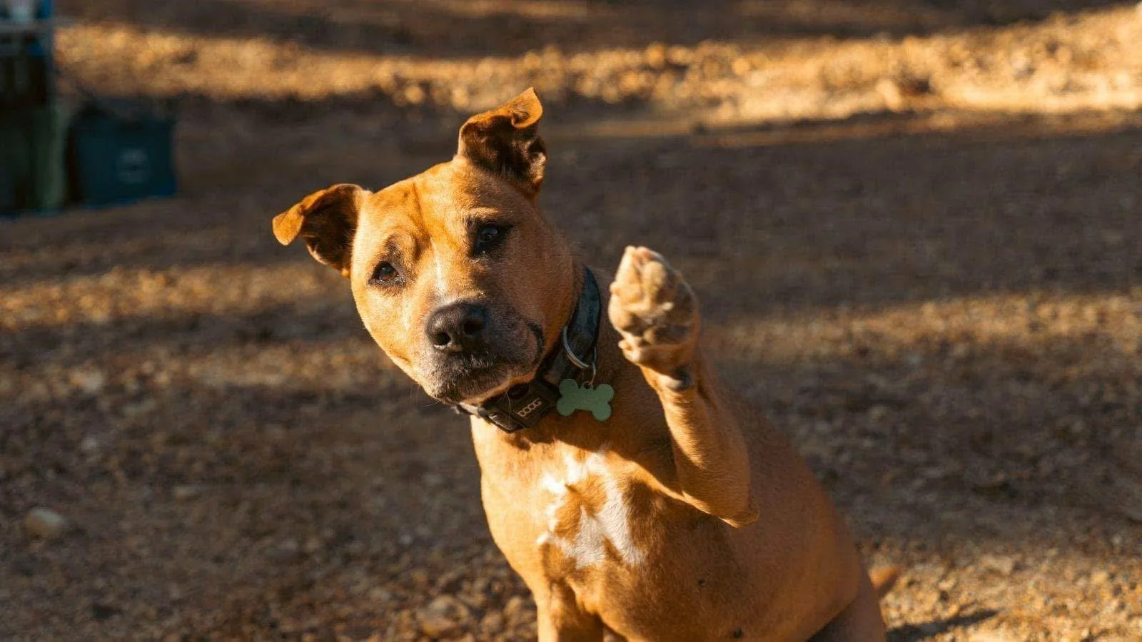 WhatsApp Image 2025-01-30 at 18.59.18.jpeg