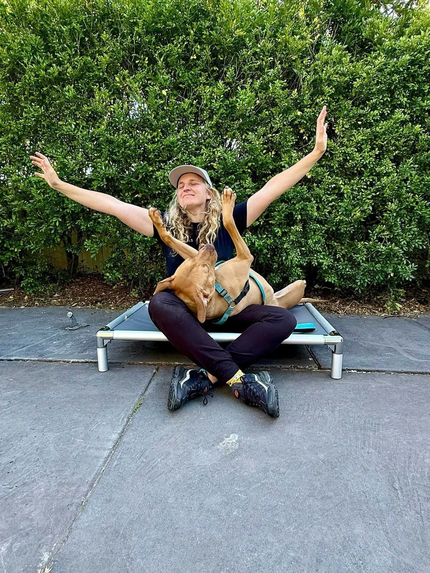 ✨FRANKIE HAS BEEN ADOPTED!✨
After 2 years in kennels, Frankie has finally found his forever home. 🩵🐾

We&rsquo;ve been working with Frankie for the last 4 months through the Mr Simba Project, a voluntary initiative supporting long-term kennel dogs 