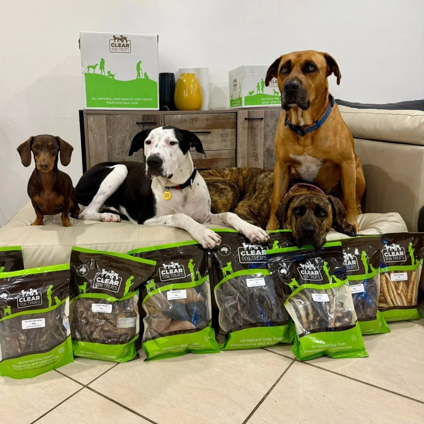 Meet some of our Waggy Crew showing off their top treat picks💛

First up is board &amp; adventure pack member 
🌭Vincent crunching away on a shark cartilage, followed by ⛄️Ambassador Snowman enjoying his favourite emu ribs.
Next is 🦁 Osirus working