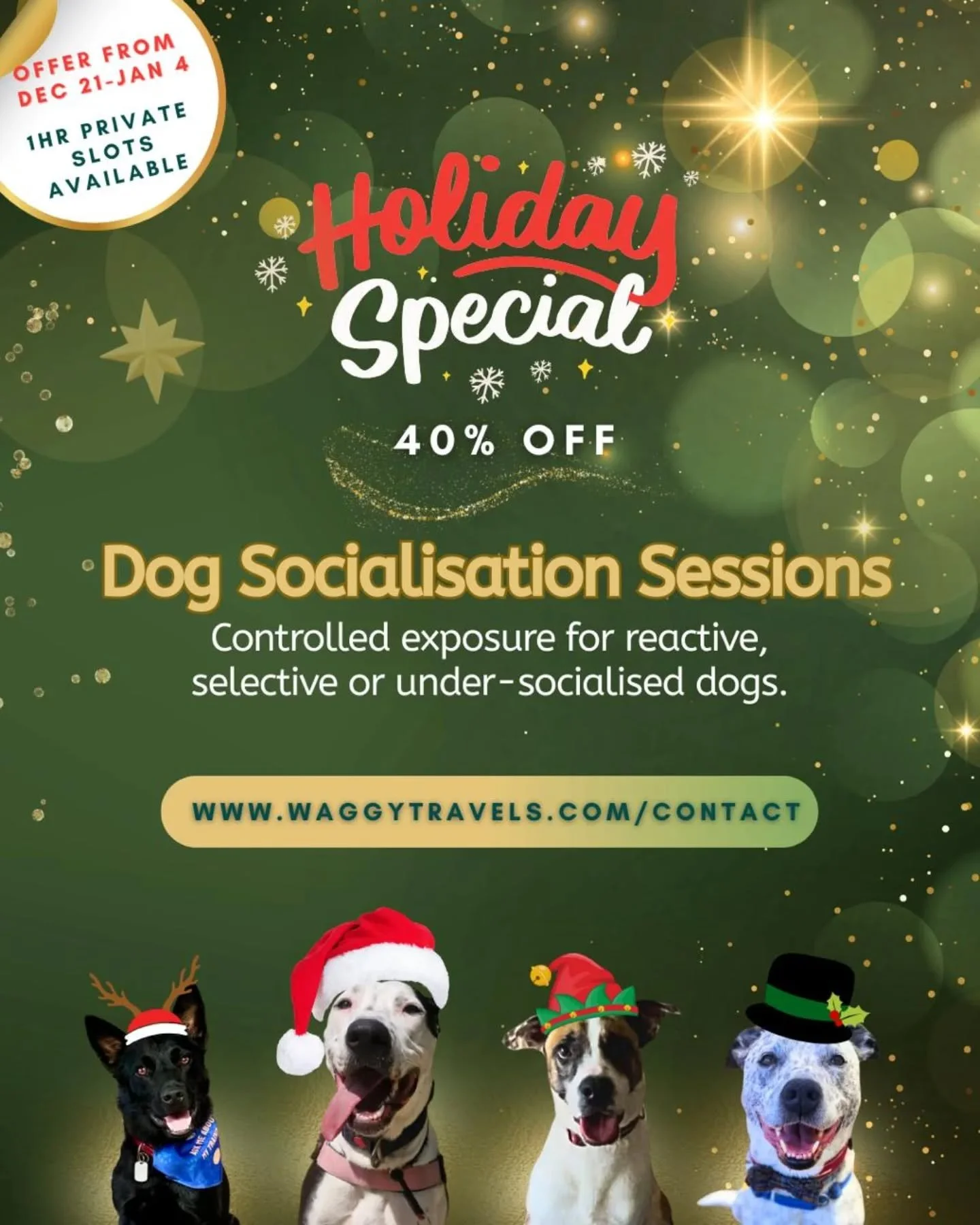 🎄 Waggy Travels Christmas Special &ndash; Controlled Exposure for Reactive Dogs 🎄

This year we&rsquo;re celebrating with a HUGE 40% OFF!

📍 The Entrance, Central Coast
📅 Dec/Jan Holidays
🎟️ Limited spots &ndash; booking is essential

These priv