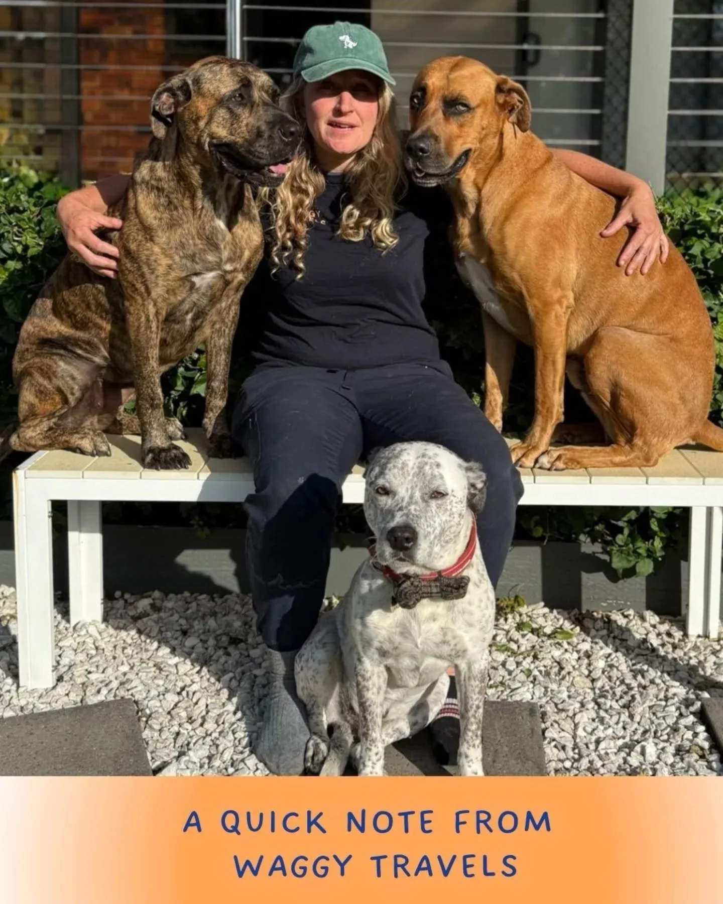 🤍 A quick note from Waggy Travels 🤍

The start of the new year has come with some unexpected and difficult personal challenges for our team. As a result, we&rsquo;ve fallen behind in the admin department, including slower responses to emails and me