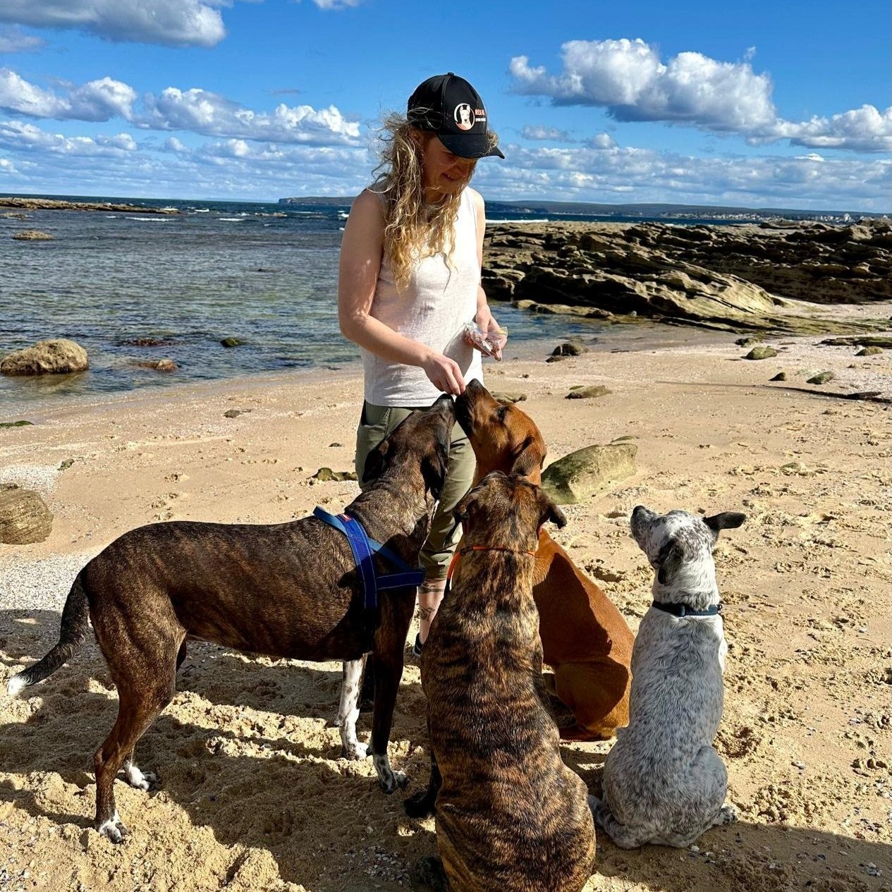 Waggy Travels Adventure Walks in Action. Dog Trainer Amanda doing training and play with 4 dogs on a beach