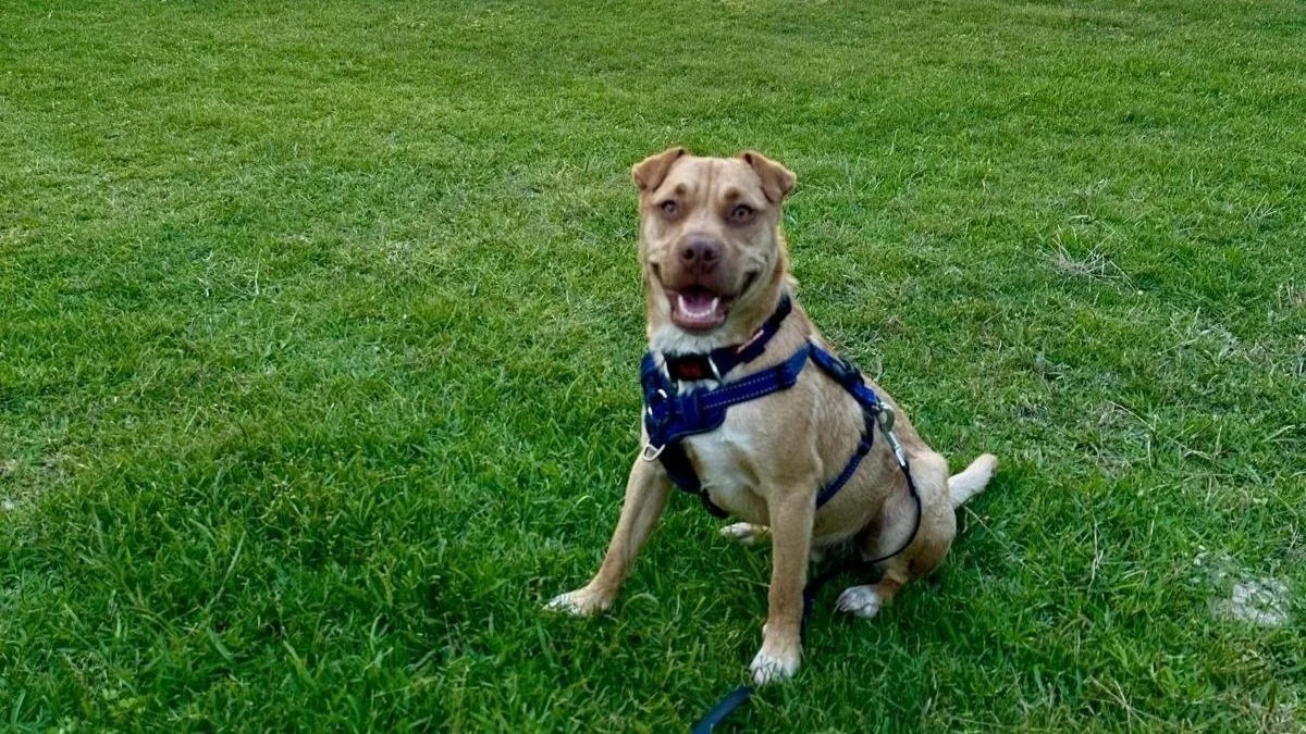 WhatsApp Image 2025-04-20 at 17.36.49.jpg