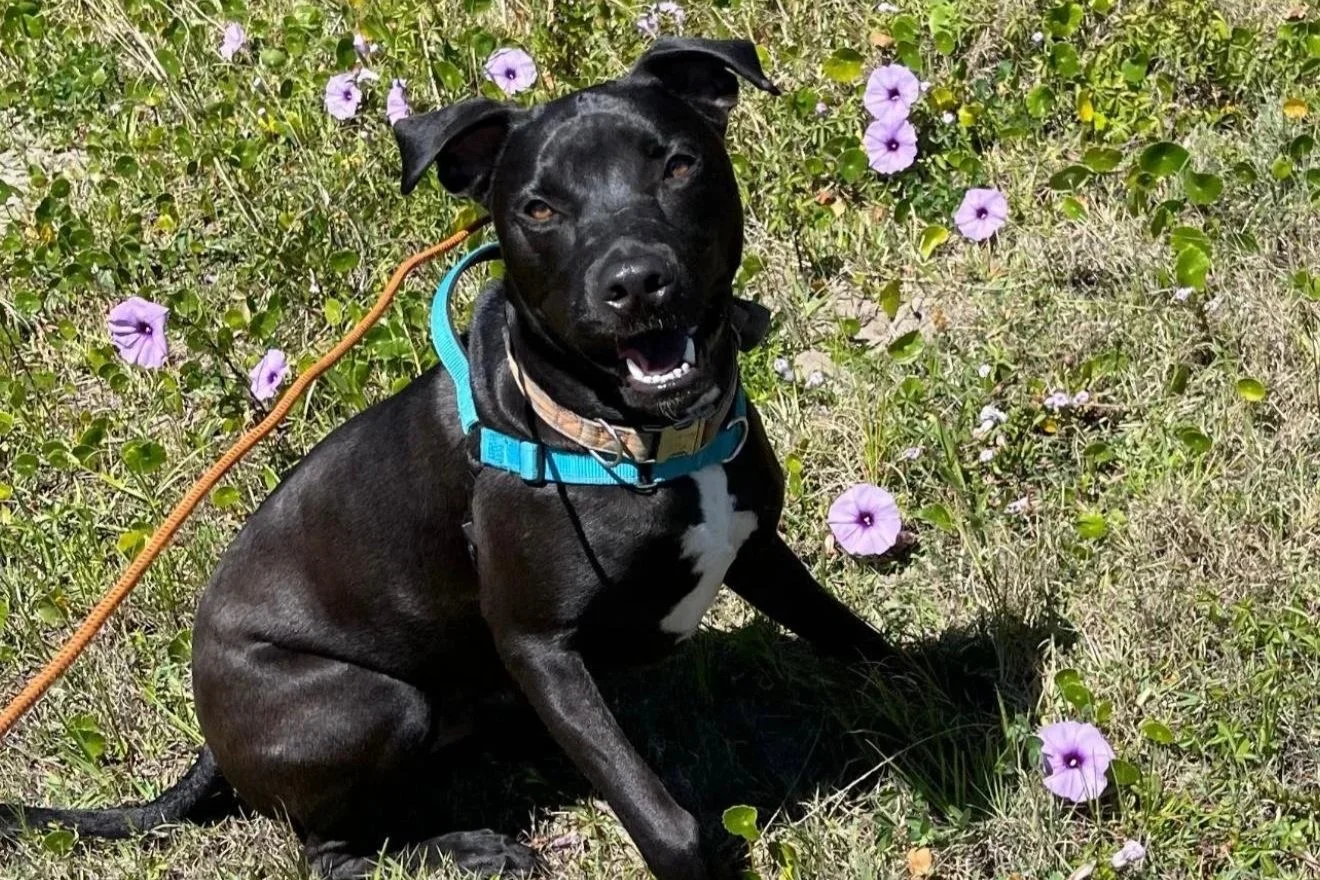 WhatsApp Image 2025-10-08 at 22.15.16.jpg