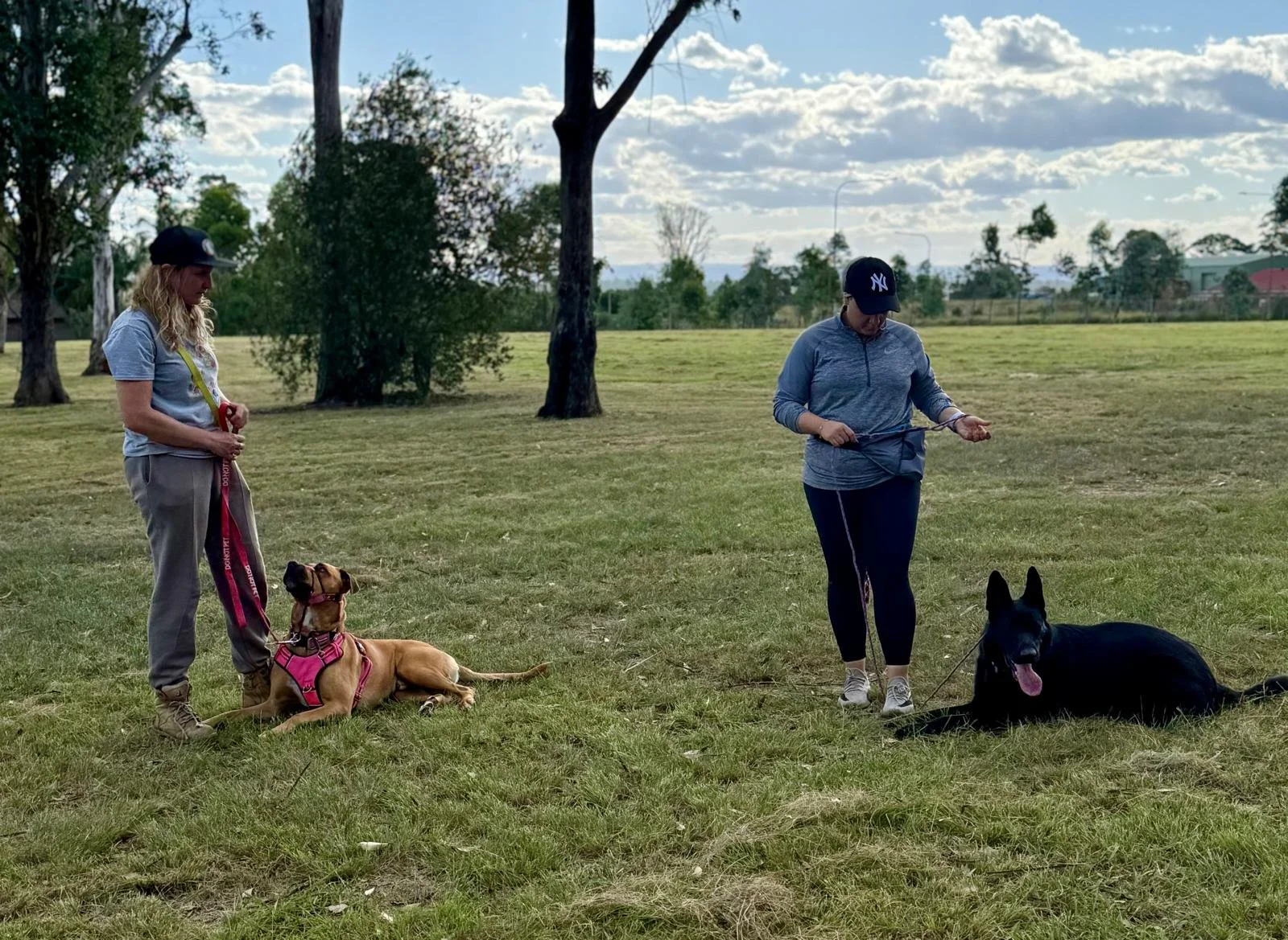 WhatsApp Image 2025-10-08 at 21.58.16.jpeg