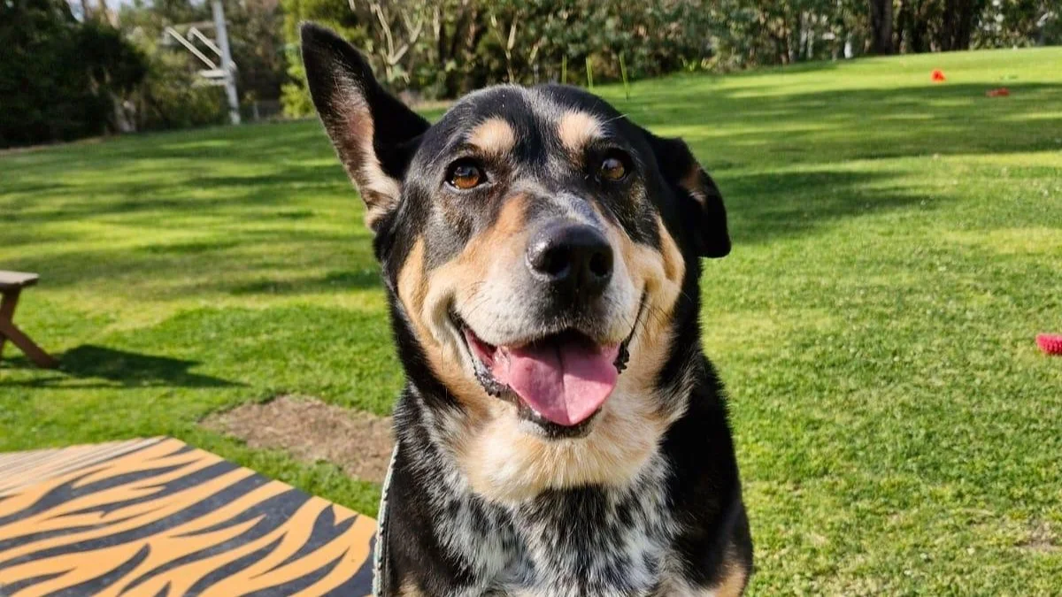 WhatsApp Image 2025-04-20 at 17.50.38.jpg