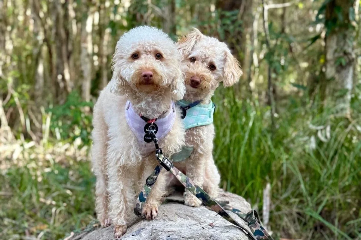 WhatsApp Image 2025-10-08 at 21.47.48.jpg