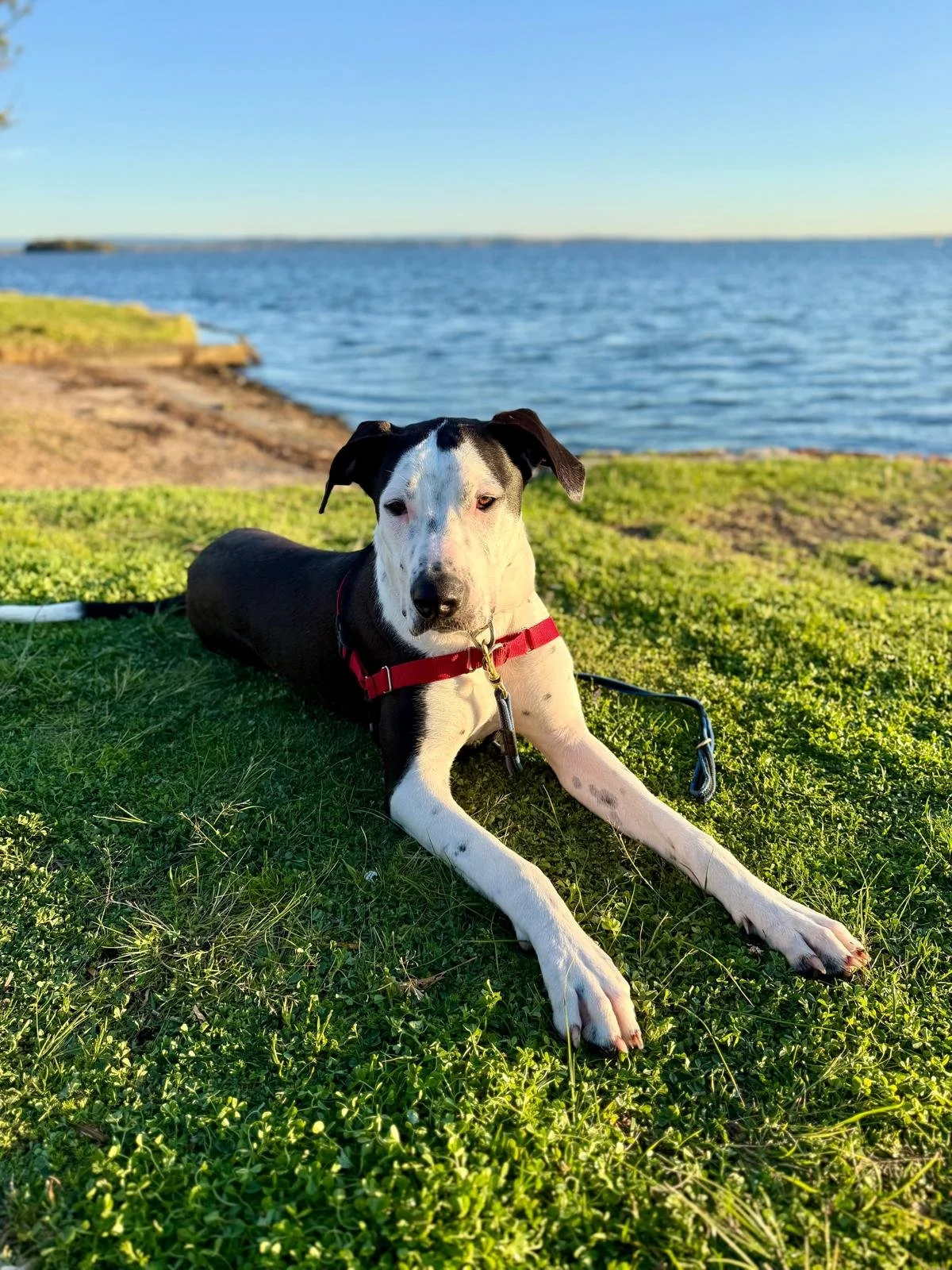 WhatsApp Image 2025-10-08 at 21.44.36.jpeg