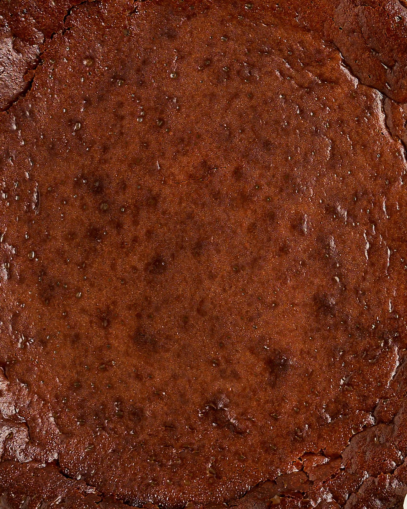 CHESECAKE BASE 2 1.jpg