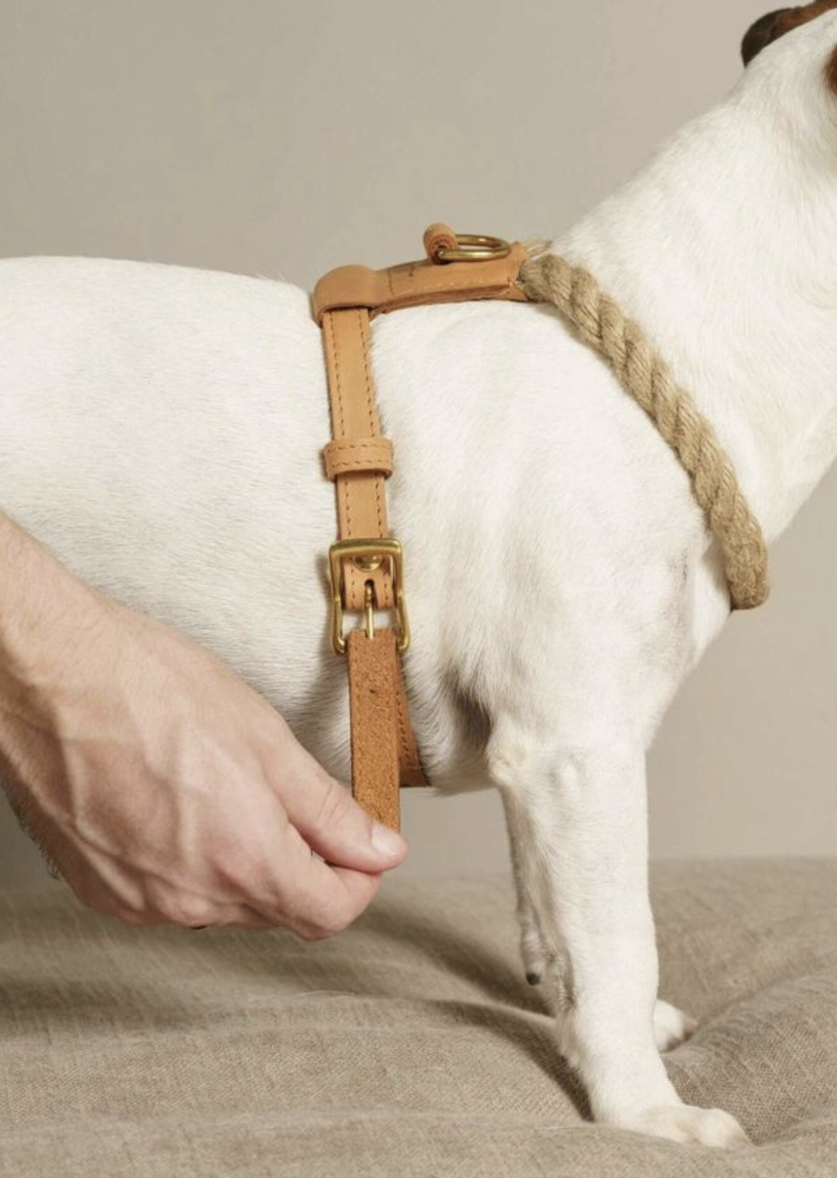 Rope and Leather Harness