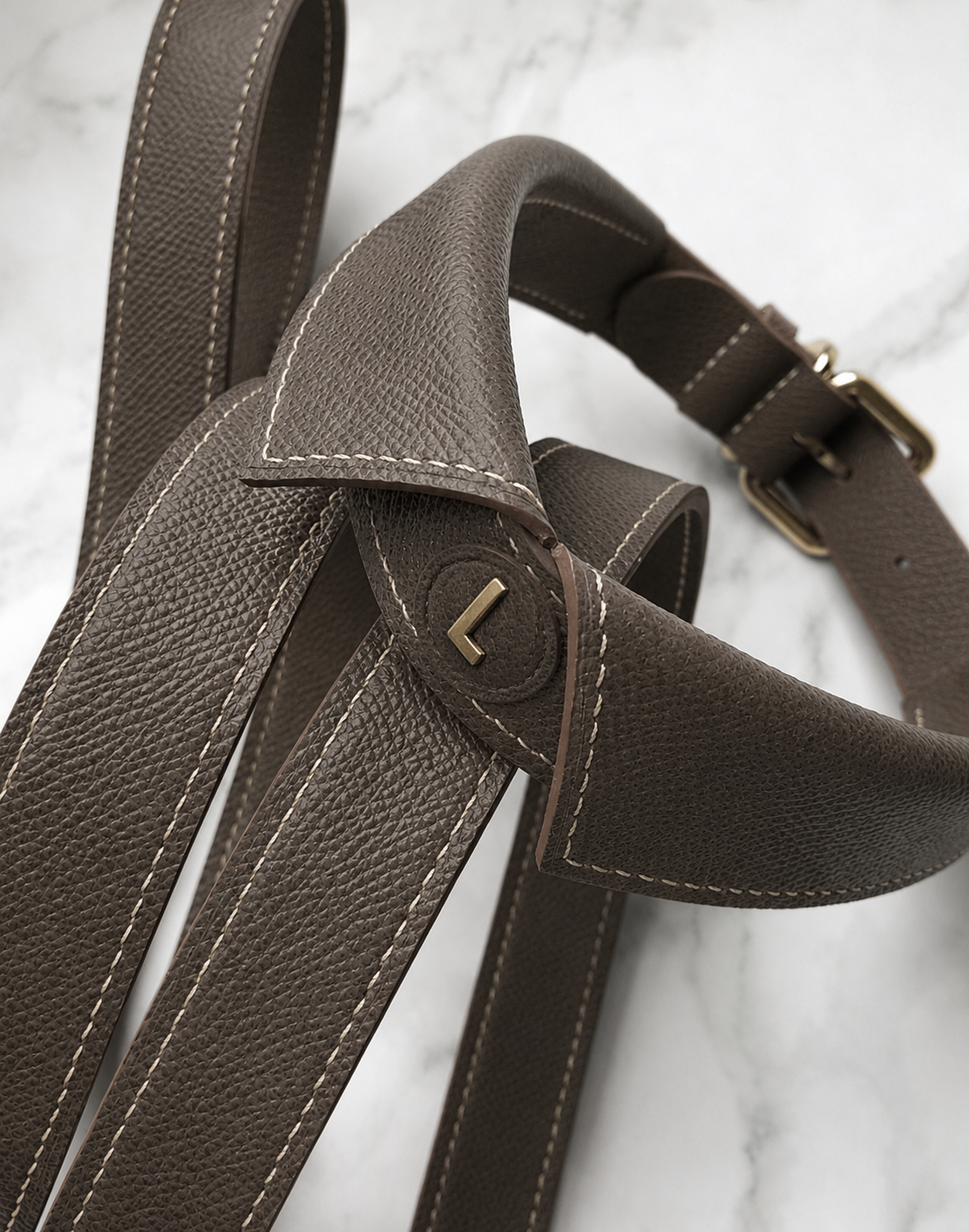 Leather Collar and Leash