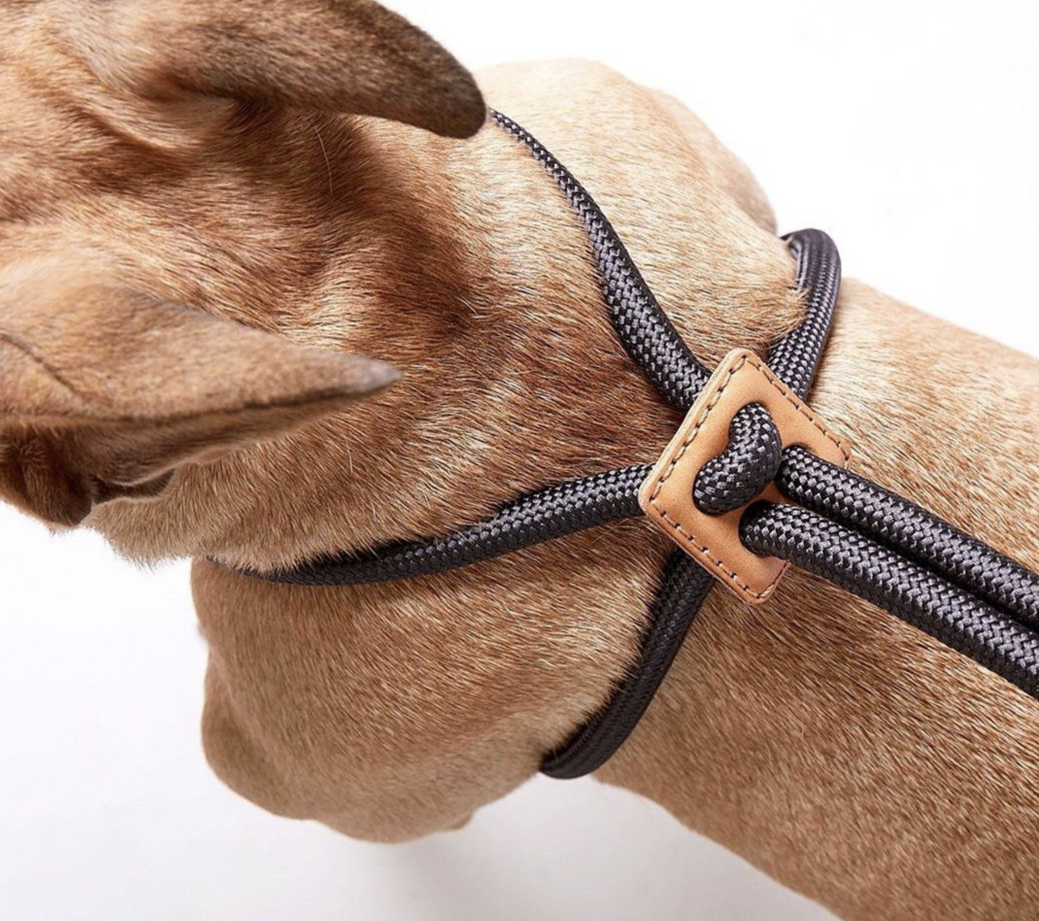 Rope and Leather Harness
