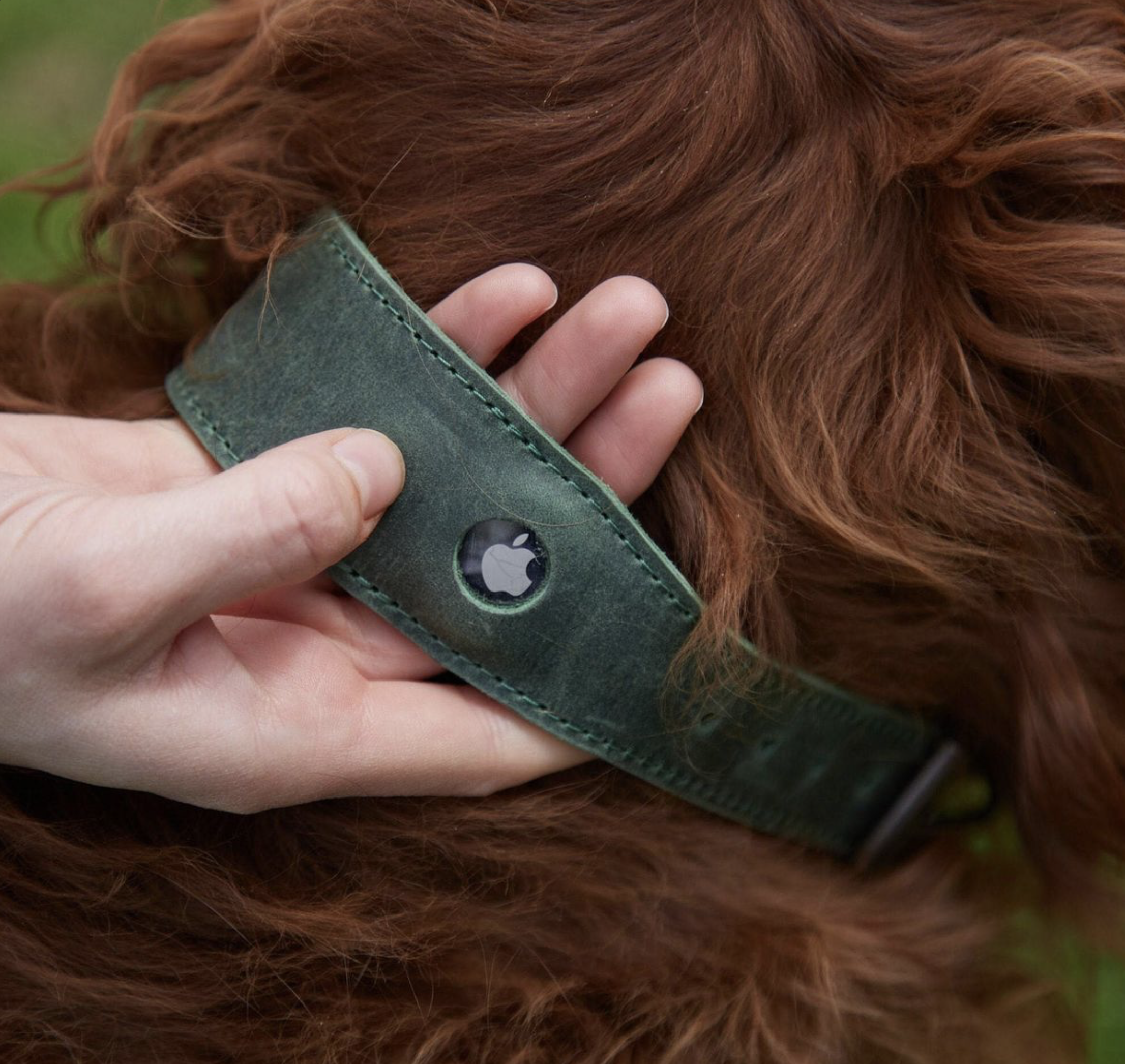 Air Tag Collar