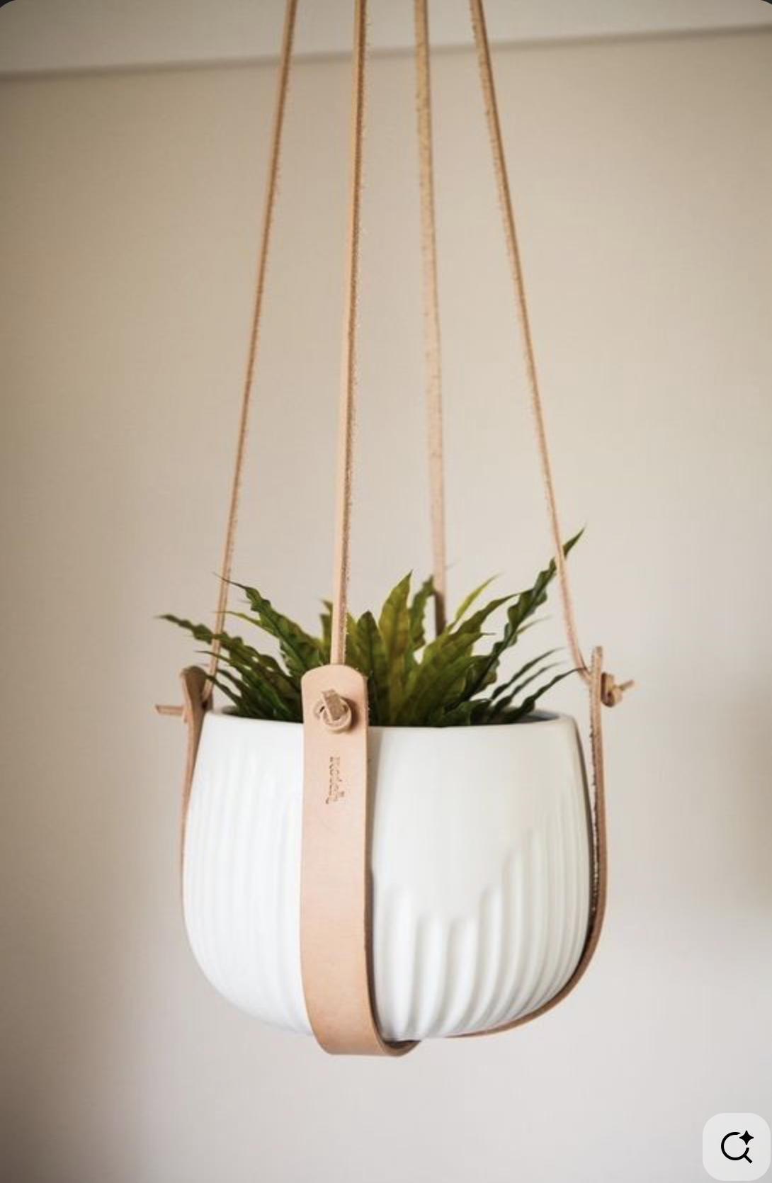 Pot Plants Holder