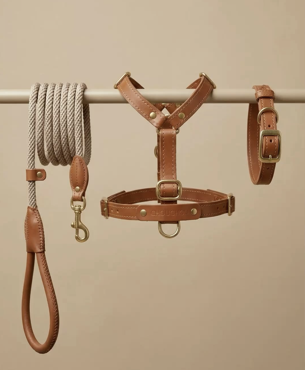 Premium Walking Kit