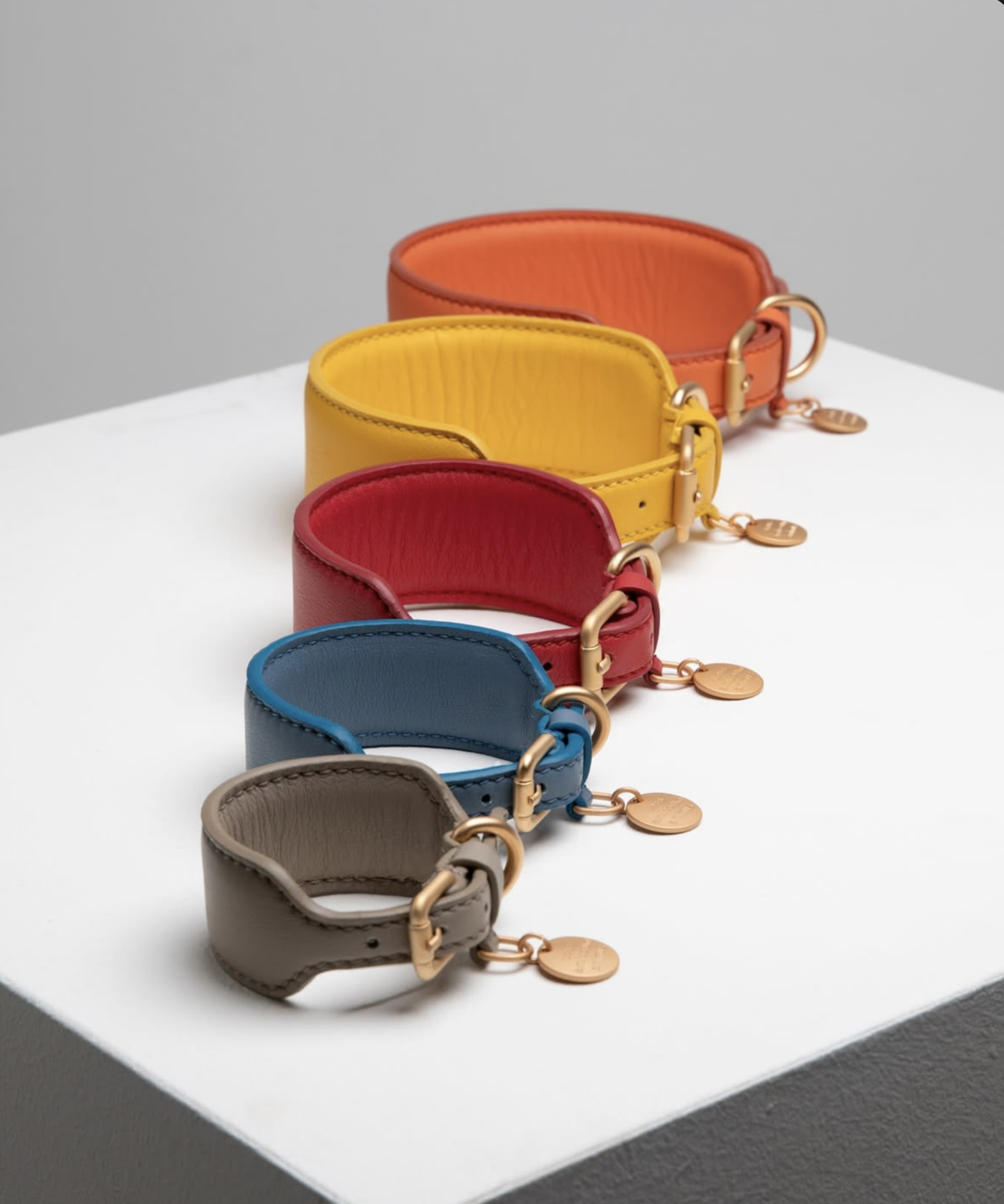 Various Sizes and Colours collars