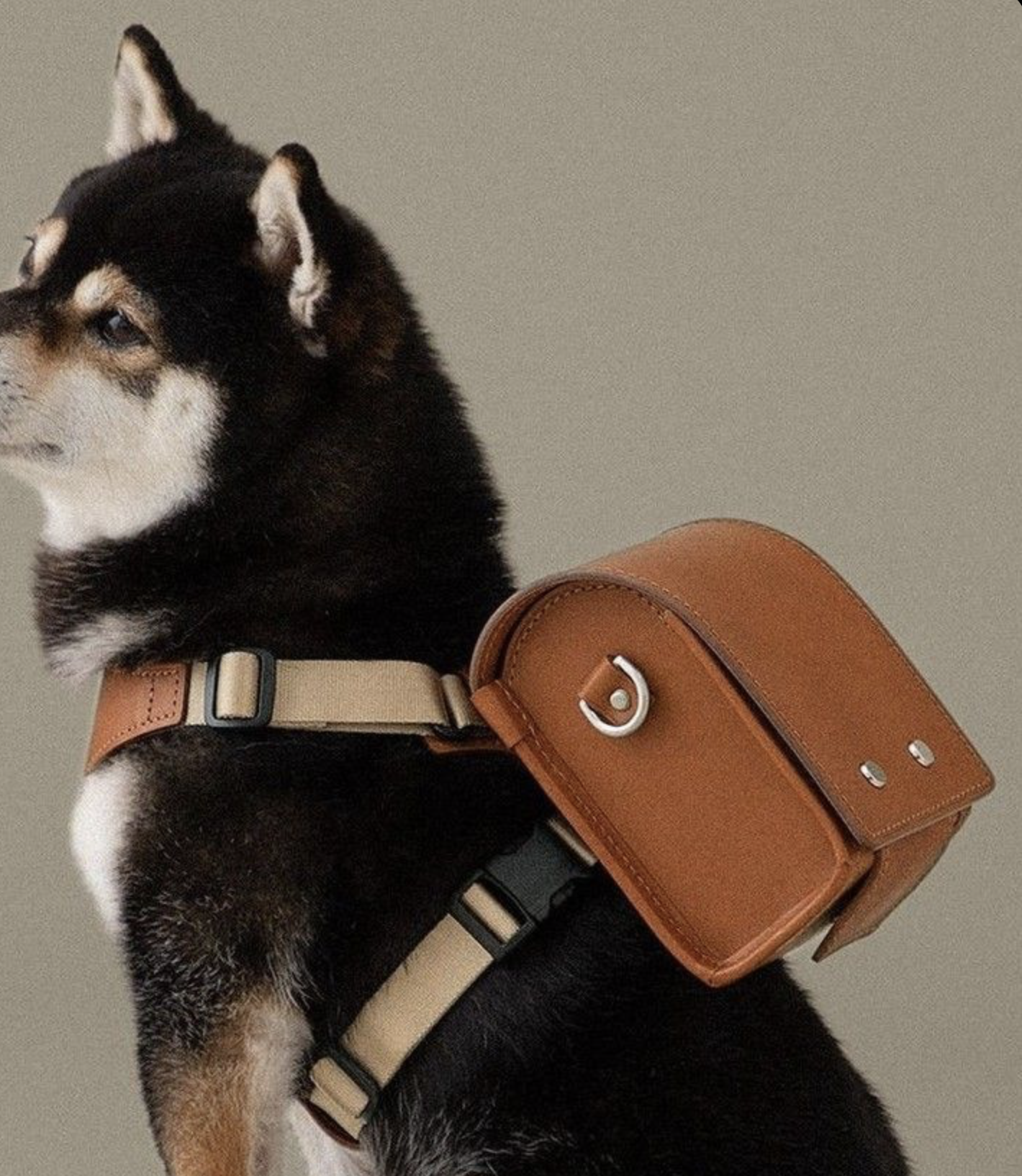 Dog Leather Backpack