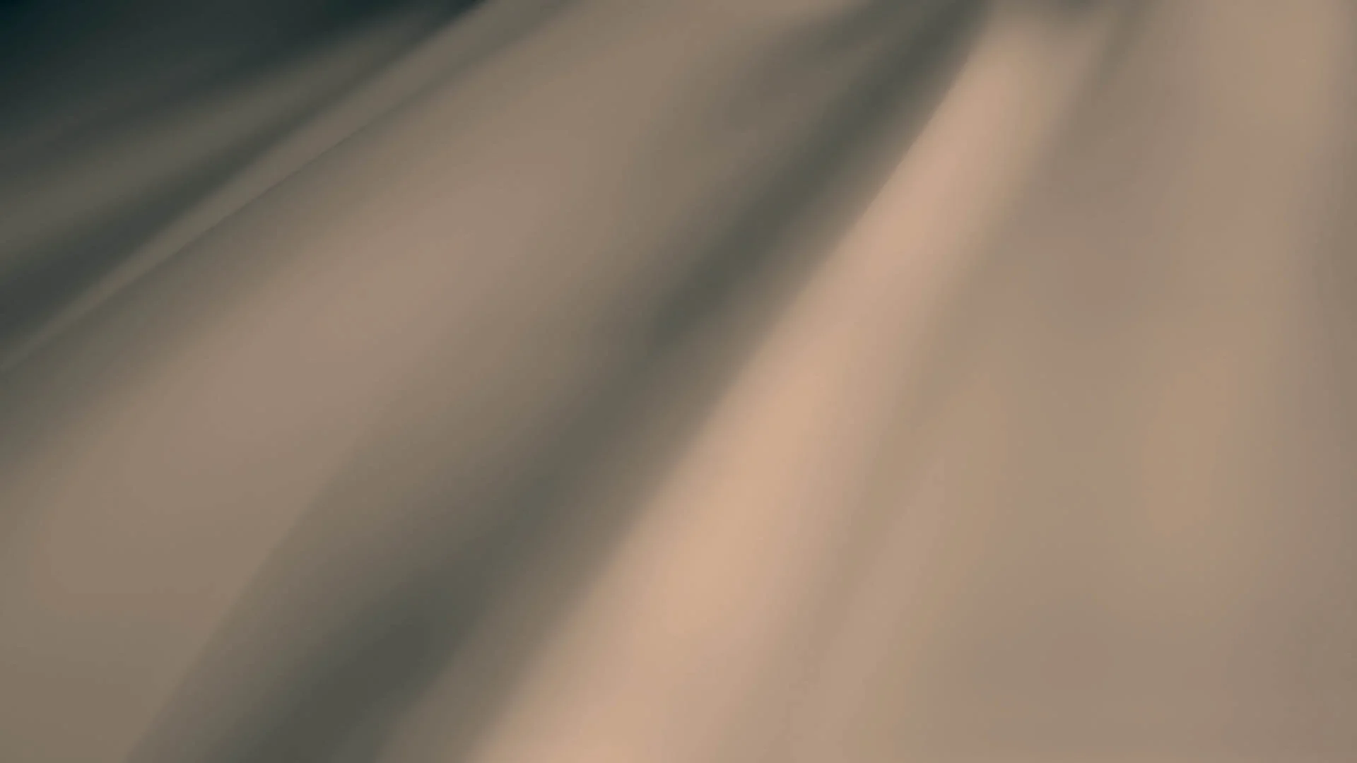 fallback1.jpg